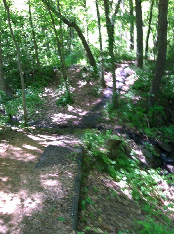 A view of a wooded area with a winding path, surrounded by lush green foliage. A metal grate bridge crosses a small stream, with sunlight filtering through the trees, creating a dappled effect on the ground. Fort Custer Recreation Area mountain bike trail.