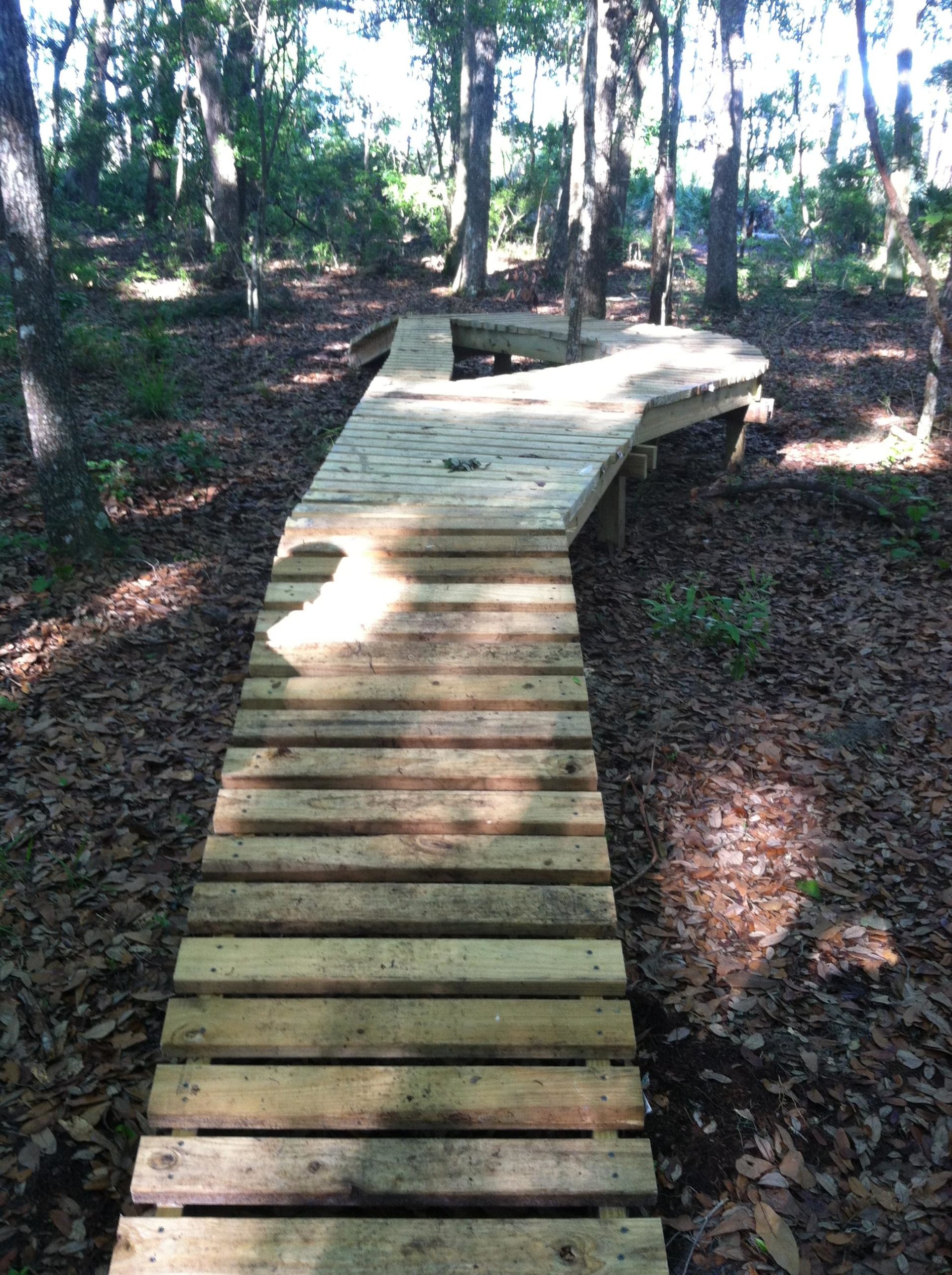 A wooden walkway winding through a forest, surrounded by trees and scattered leaves on the ground. Nocatee mountain bike trail.