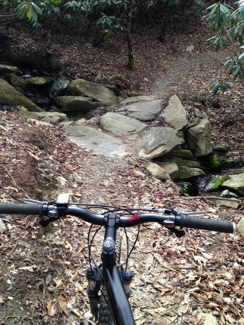 Specialized Rockhopper: Close-up view of a mountain bike handlebar overlooking a rocky trail surrounded by greenery. The path leads over rocky terrain with scattered leaves, hinting at an adventurous ride in a natural setting.