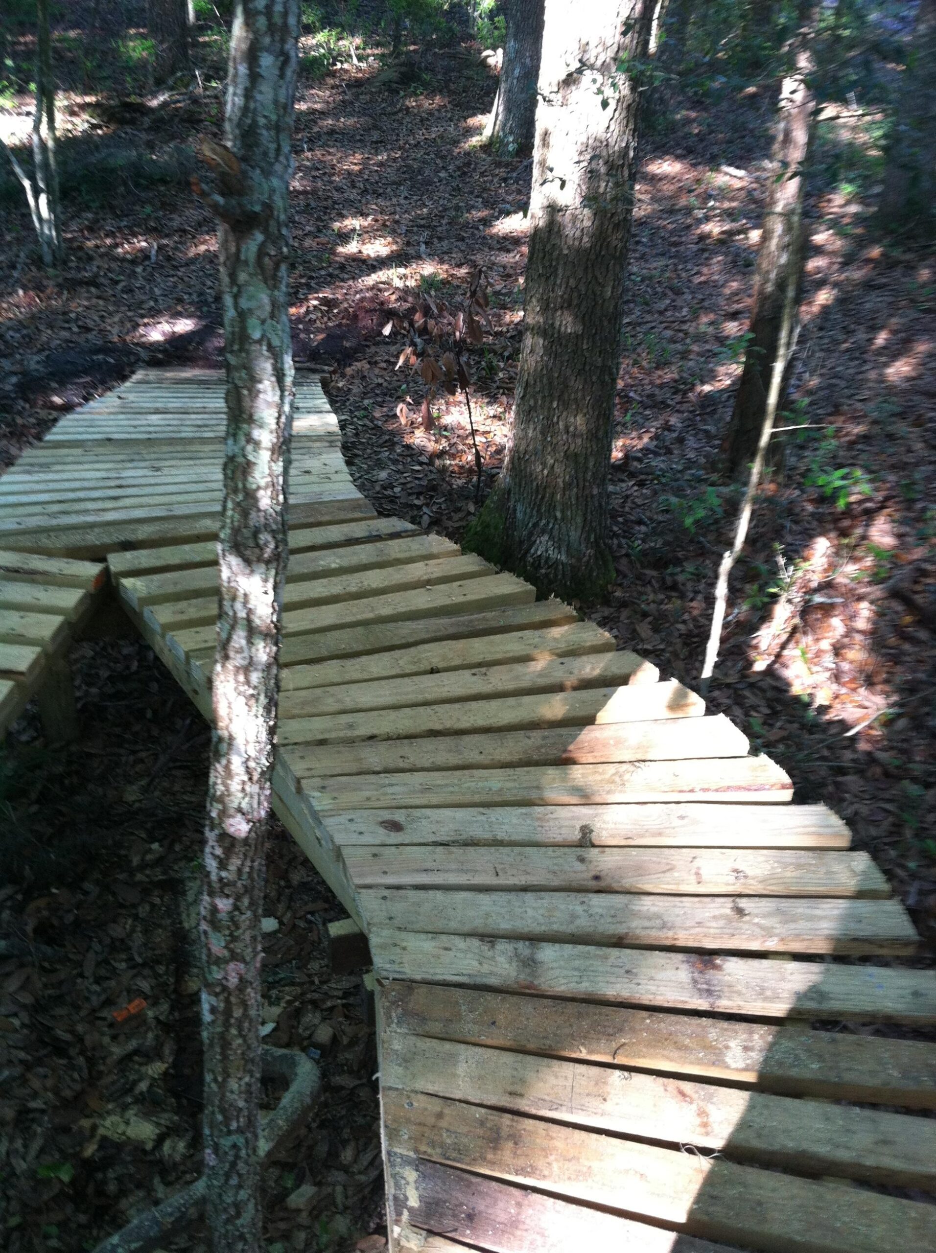 A wooden pathway curving through a forested area, surrounded by trees and scattered leaves on the ground, with dappled sunlight illuminating the boards. Nocatee mountain bike trail.