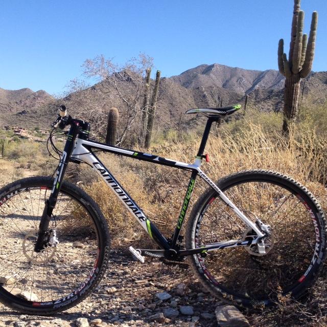 Cannondale F29 Carbon 3: A mountain bike positioned on a rocky trail with desert vegetation, including cacti, in the background. The scene features a clear blue sky and mountainous terrain, highlighting an outdoor adventure setting.