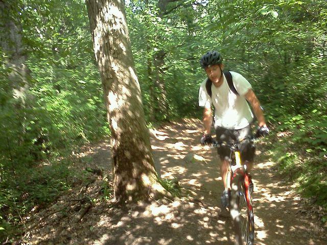 A person riding a mountain bike along a dirt trail in a lush green forest, surrounded by tall trees and dense foliage. The cyclist is wearing a helmet and casual clothing, with sunlight filtering through the leaves, creating dappled shadows on the ground. Kettle Moraine John Muir + Emma Carlin mountain bike trail.