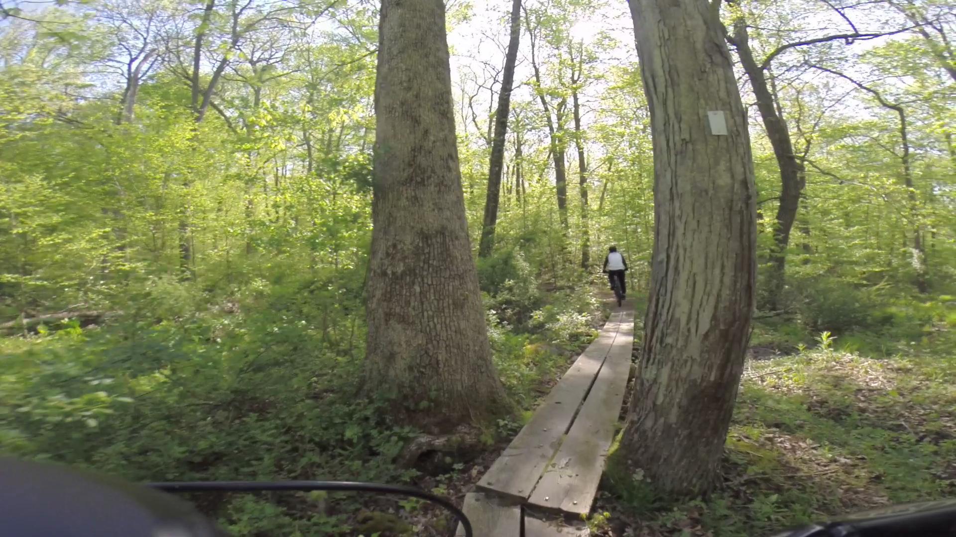A narrow wooden boardwalk meanders through a vibrant green forest, with tall trees flanking the path. In the distance, a person is seen walking away along the boardwalk, surrounded by lush foliage and dappled sunlight filtering through the leaves. Allamuchy Mt. State Park: Deer Park mountain bike trail.