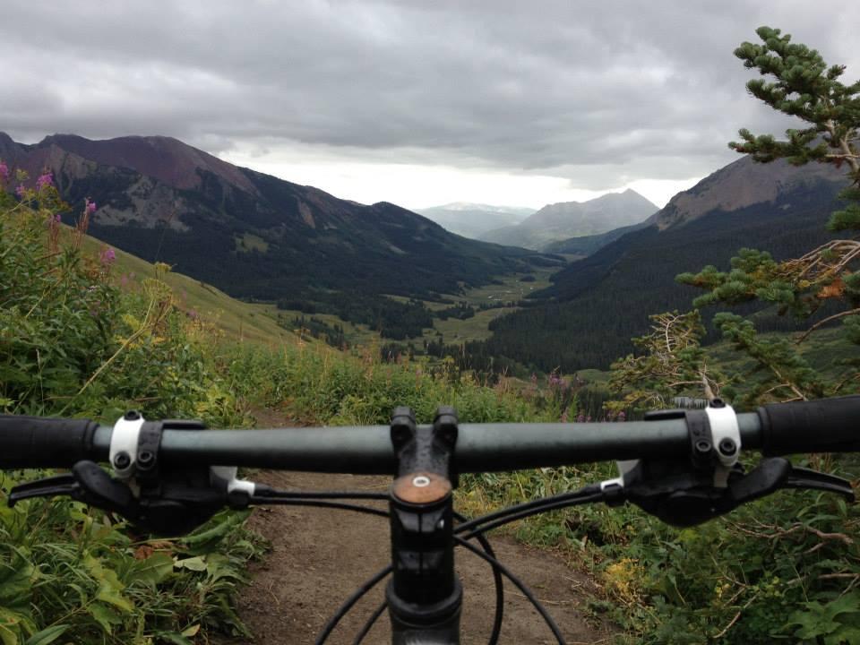 A view of a mountainous landscape seen from the perspective of a mountain bike handlebar. The scene features rolling hills, dense greenery, and a valley below, set against a cloudy sky. Wildflowers are visible in the foreground, adding color to the natural surroundings. Trail 401 mountain bike trail.