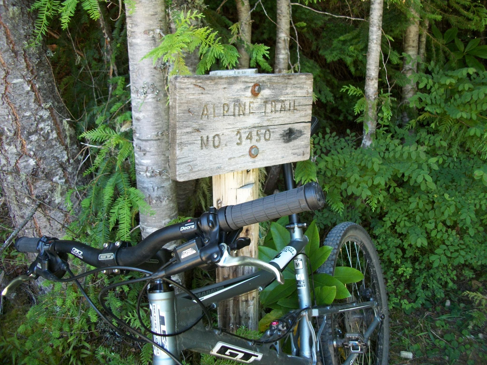 A mountain bike resting against a wooden sign that reads "Alpine Trail No. 3450," surrounded by lush greenery and trees in a wooded area. Alpine Trail mountain bike trail.