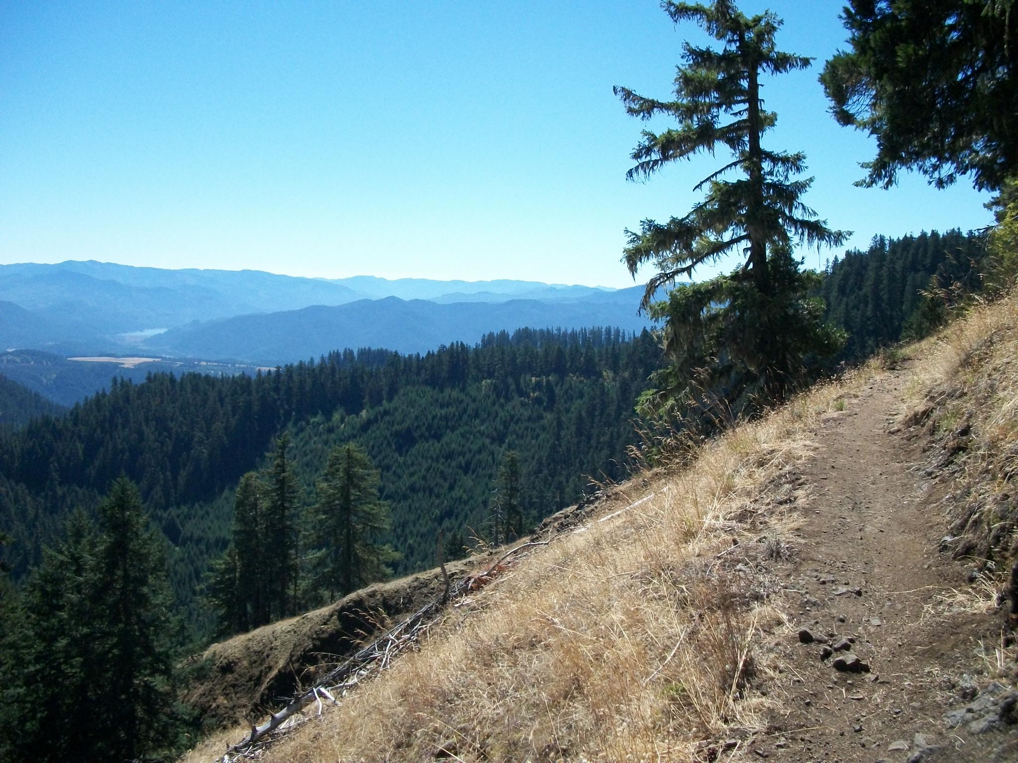 A scenic view of a mountain trail bordered by tall pine trees, with lush green hills extending into the distance under a clear blue sky. The trail leads along the edge of a slope, revealing expansive vistas of layered mountains and valleys. Alpine Trail mountain bike trail.