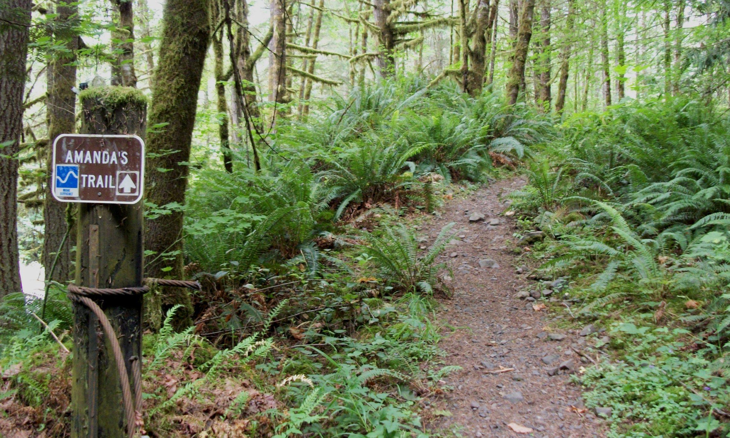 Sign marking "Amanda's Trail" with a blue water symbol and an upward arrow, set in a lush green forest with dense ferns and trees. A dirt path leads into the woods, indicating a natural hiking route. Molalla River Recreation Corridor mountain bike trail.