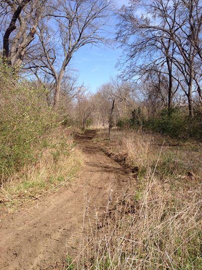 A narrow dirt path winding through a forested area during early spring, surrounded by bare trees and sparse undergrowth under a clear blue sky. Hachie MTB Trails Waxahachie mountain bike trail.