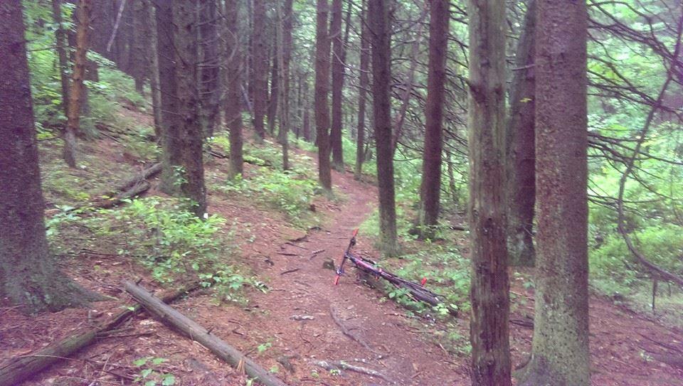 A dirt path winding through a dense forest, surrounded by tall trees and lush green undergrowth. Some fallen branches and foliage are visible on the forest floor. Swatara State Park mountain bike trail.