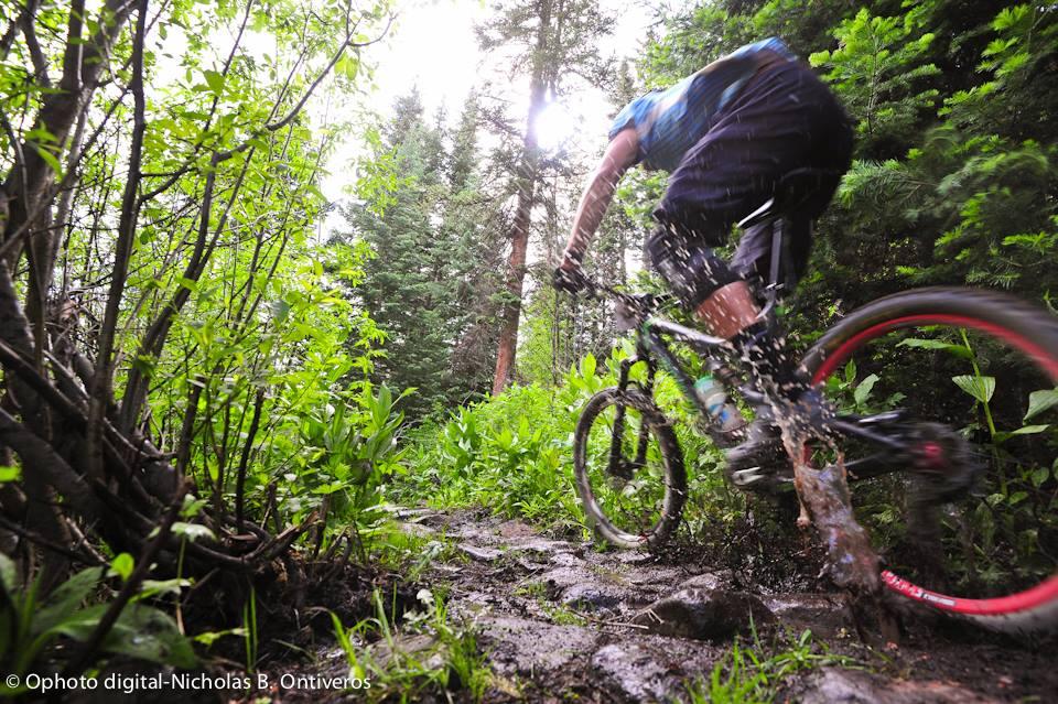 A mountain biker riding through a muddy trail surrounded by lush green vegetation and trees. The cyclist is captured mid-action as water and mud spray from the tires, emphasizing the dynamic nature of off-road biking in a forested environment. Bright sunlight filters through the trees above. Nature Trail mountain bike trail.