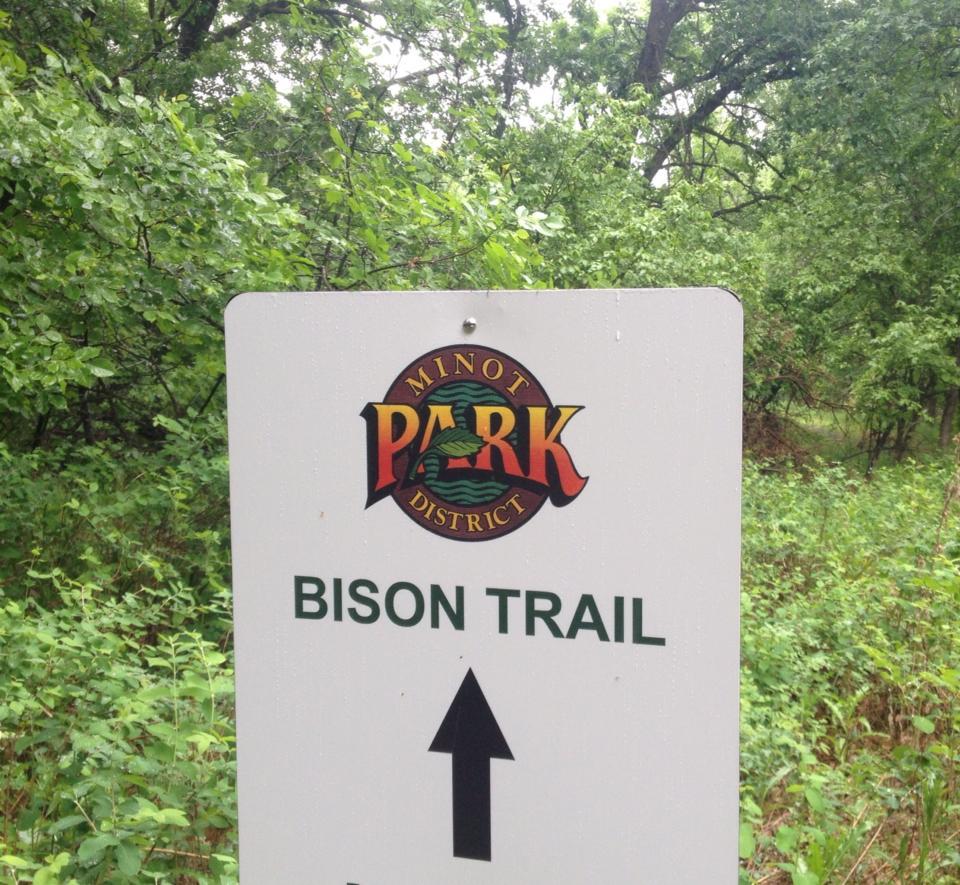 Sign for the Bison Trail in Minot Park, featuring the park's logo at the top and an arrow indicating the direction to proceed straight ahead. The background consists of lush green foliage typical of a park setting. Bison Plant mountain bike trail.