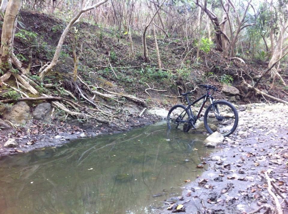 Raleigh Talus 29er: A black mountain bike partially submerged in a shallow stream surrounded by muddy terrain and sparse vegetation. The background features rocky areas and trees with bare branches, indicating a natural and possibly rugged outdoor environment.