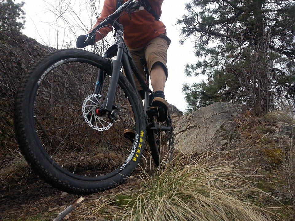 A mountain biker navigating a rocky trail, with one wheel elevated on a boulder. The biker is wearing a brown jacket and shorts, surrounded by grass and trees in a natural setting. Kalamalka Lake Provincial Park mountain bike trail.