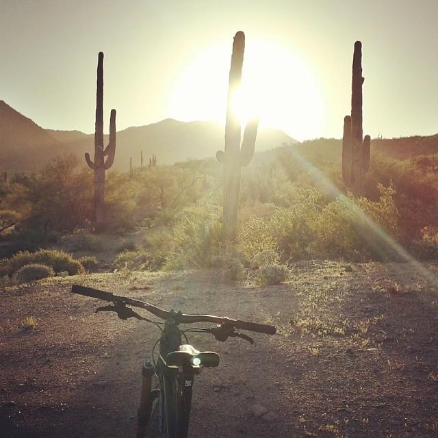 A mountain bike is positioned in the foreground with handlebars visible, facing a landscape of saguaro cacti against a backdrop of mountains. The sun is rising or setting in the background, casting a warm glow over the scene and illuminating the desert vegetation. Hawes Loop mountain bike trail.