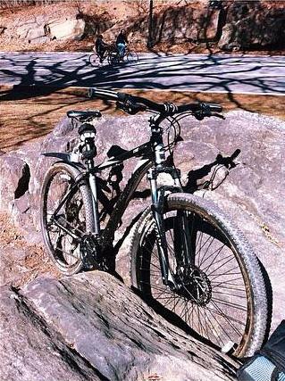 Giant Revel 29er: A mountain bike resting on a large rock in a park, with a paved path and two cyclists in the background. The scene captures the natural surroundings and the outdoor cycling environment.