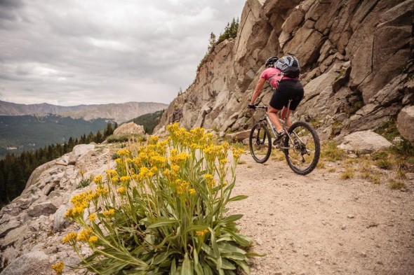 A mountain biker riding along a rocky trail surrounded by wildflowers on the side. The scene features rugged cliffs and a distant mountain view under a cloudy sky.