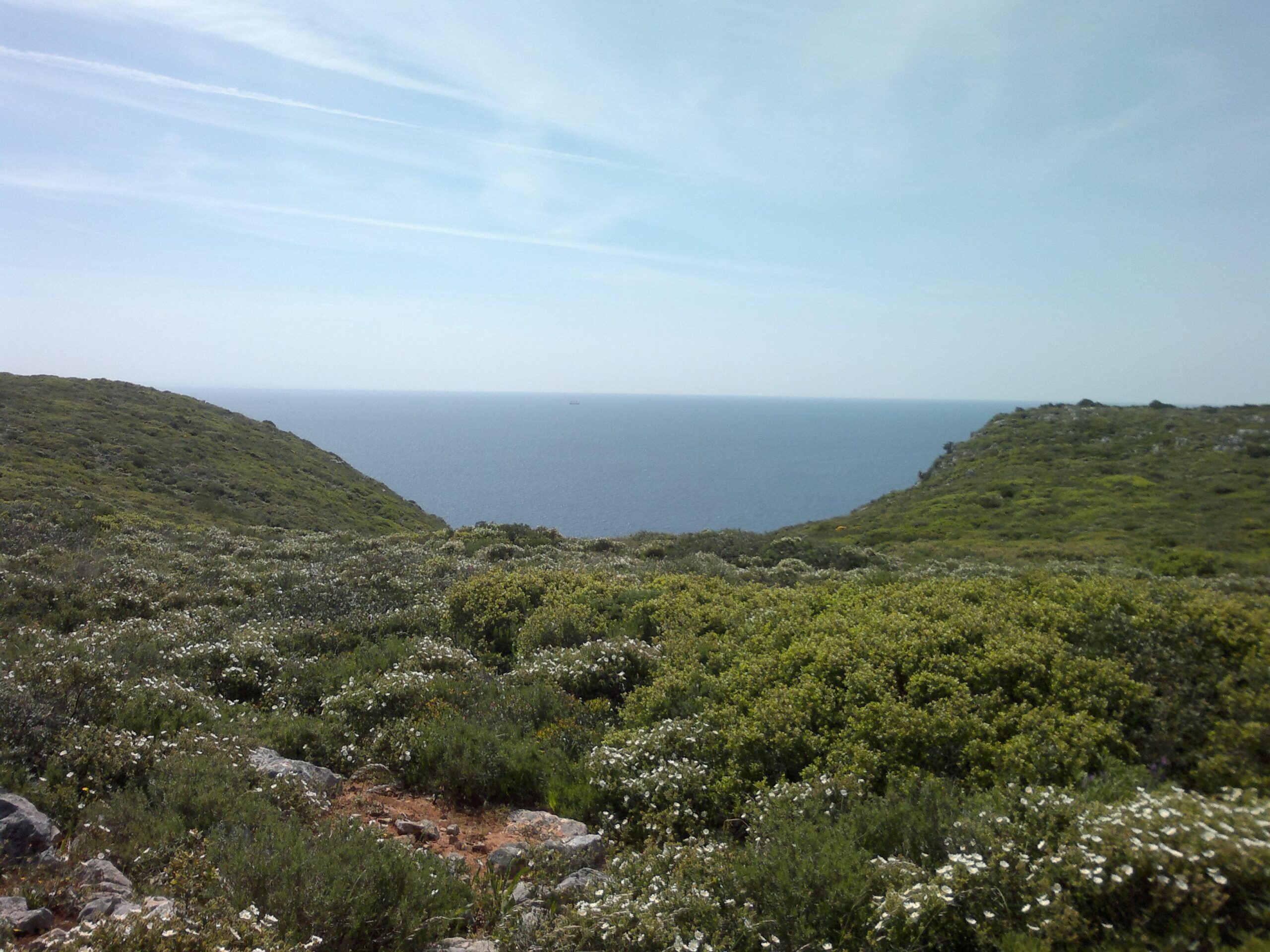 A scenic view of a coastal landscape, featuring rolling green hills covered in foliage and flowering plants, with a calm ocean extending to the horizon under a light blue sky. Arrabida mountain bike trail.