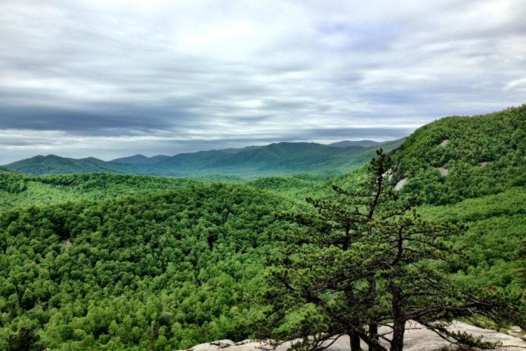 A panoramic view of lush green mountains under a cloudy sky. In the foreground, a small pine tree stands on a rocky outcrop, while the rolling hills and dense forests stretch into the distance, creating a serene natural landscape.