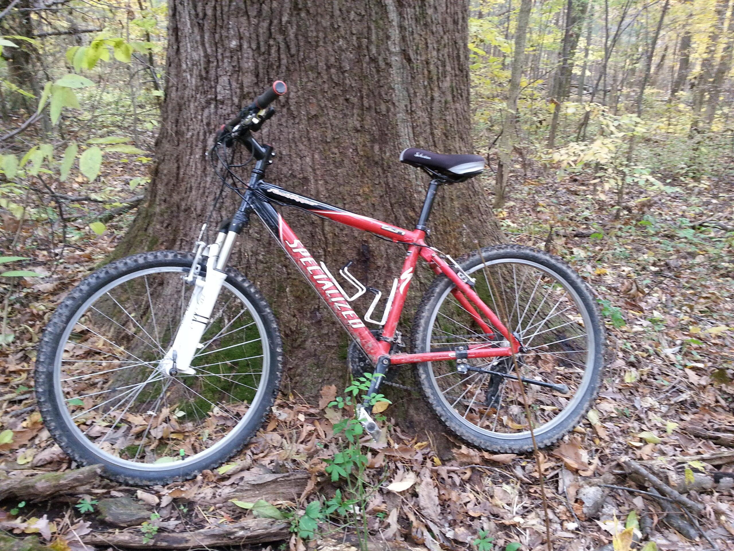 Specialized Rockhopper: Mountain bike leaning against a large tree in a forested area, surrounded by fallen leaves and greenery, with autumn colors visible in the background.