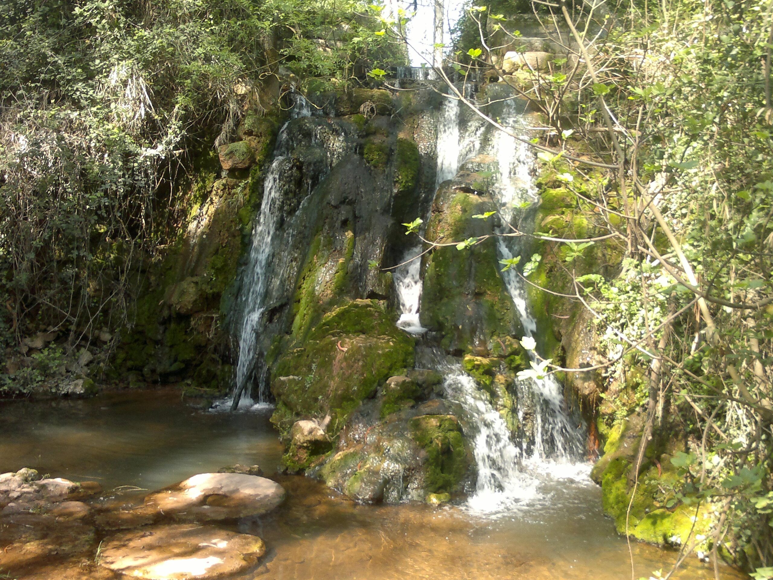 A serene scene of a cascading waterfall surrounded by lush greenery and moss-covered rocks. The water flows gently into a calm pool, reflecting the surrounding plants and sunlight filtering through the leaves. Arrabida mountain bike trail.
