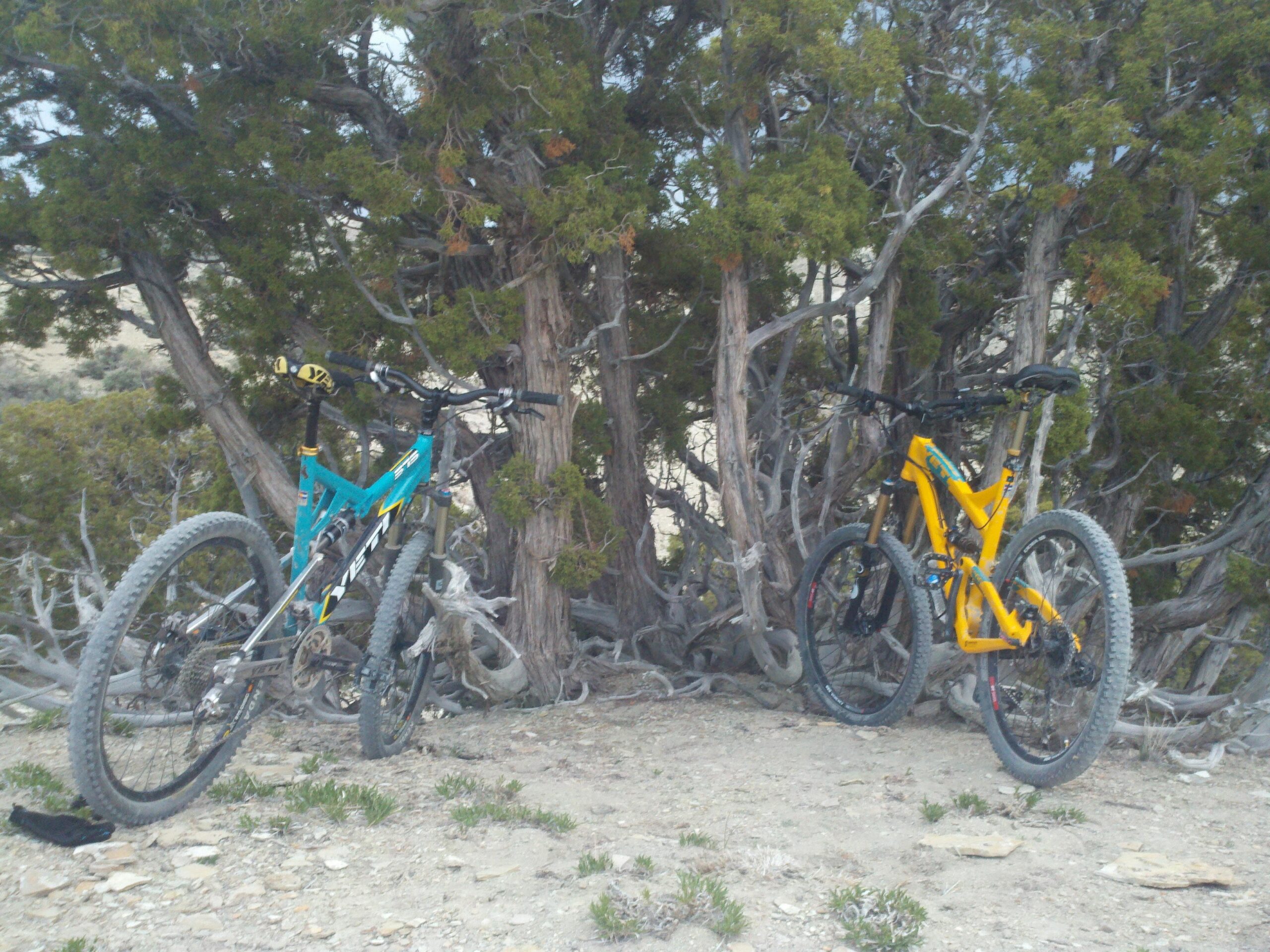 Two mountain bikes, one teal and one yellow, leaning against a tree in a rocky outdoor setting. The background features a mix of greenery and rugged terrain. Wilkins Peak Trails mountain bike trail.