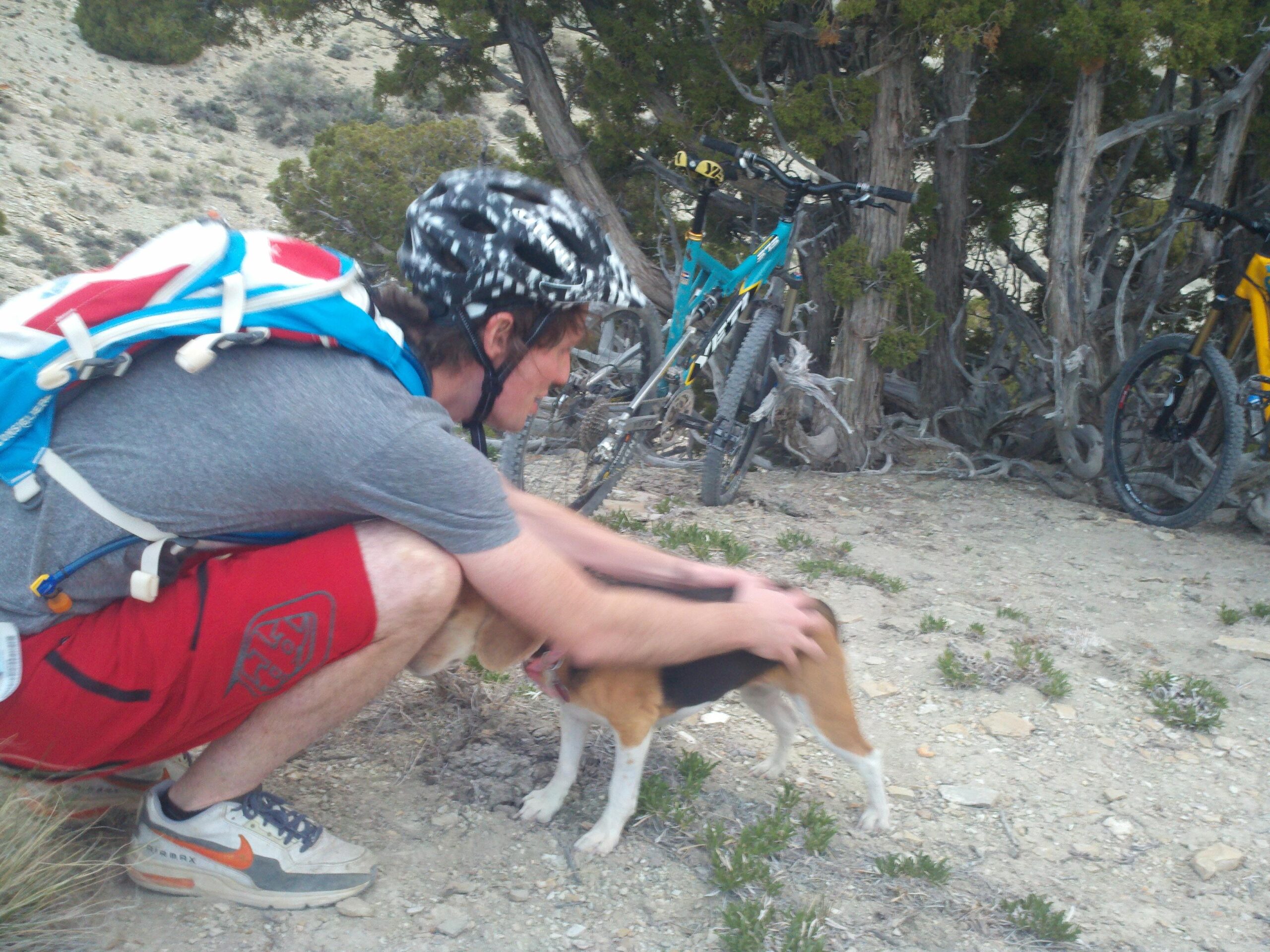 A person in a gray shirt and red shorts is crouching down to pet a small dog in a natural outdoor setting. Two mountain bikes are parked nearby among trees and shrubs. Wilkins Peak Trails mountain bike trail.
