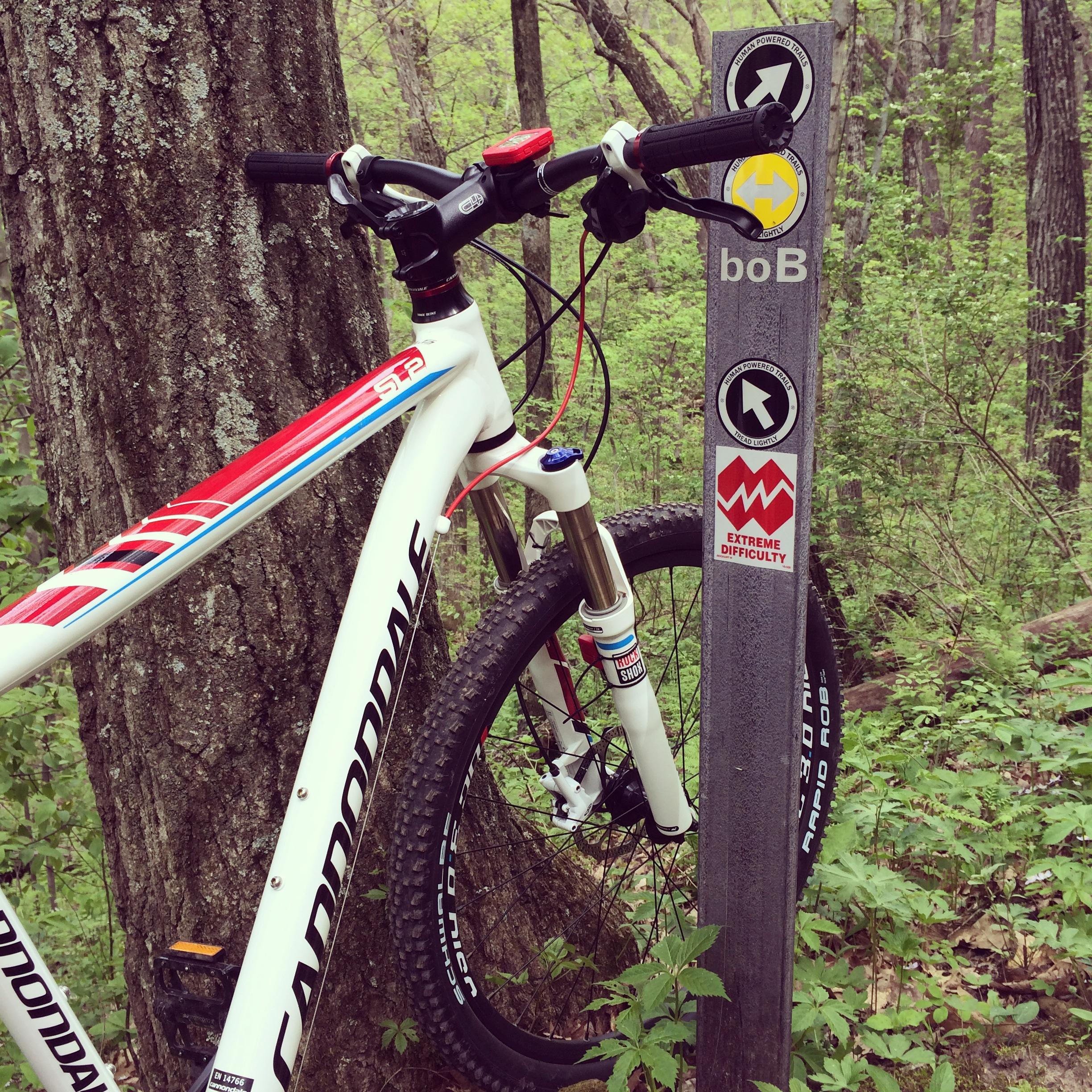 A white Cannondale mountain bike is leaning against a tree in a lush, green forest. Next to the bike, a trail sign indicates various trail markers, including one for "boB" and another indicating "Extreme Difficulty." The surrounding foliage and trees suggest a vibrant outdoor environment, ideal for cycling. Hixon Forest mountain bike trail.