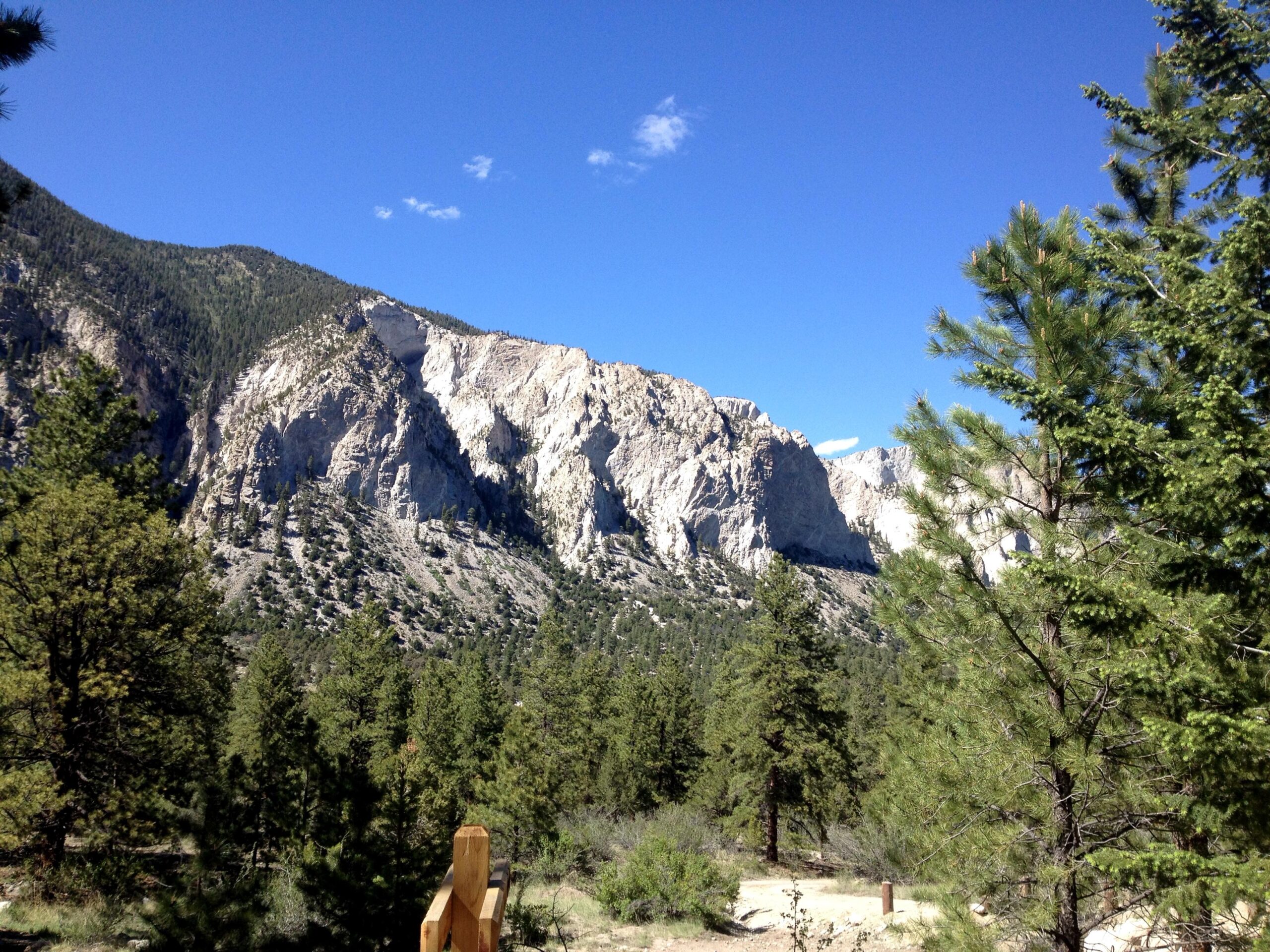 A scenic view of rugged mountains under a clear blue sky, surrounded by lush green pine trees. The rocky cliffs display a mixture of light and dark colors, creating a striking contrast with the greenery in the foreground. A wooden railing is partially visible at the bottom of the image, suggesting a viewpoint. Colorado Trail: Mt. Shavano thd to Chalk Creek thd mountain bike trail.