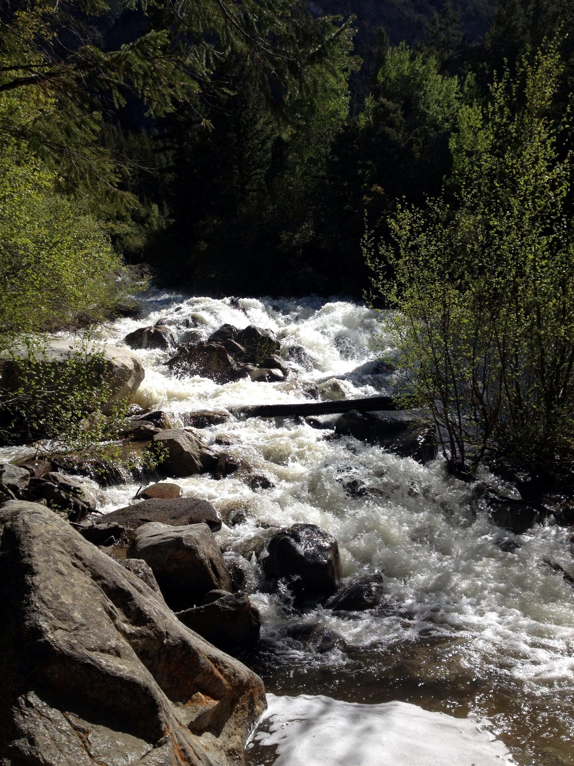 A rushing river flows over rocks, surrounded by vibrant green trees and foliage under bright sunlight. The water creates frothy rapids as it moves through the rocky landscape. Narrow Gauge Trail mountain bike trail.