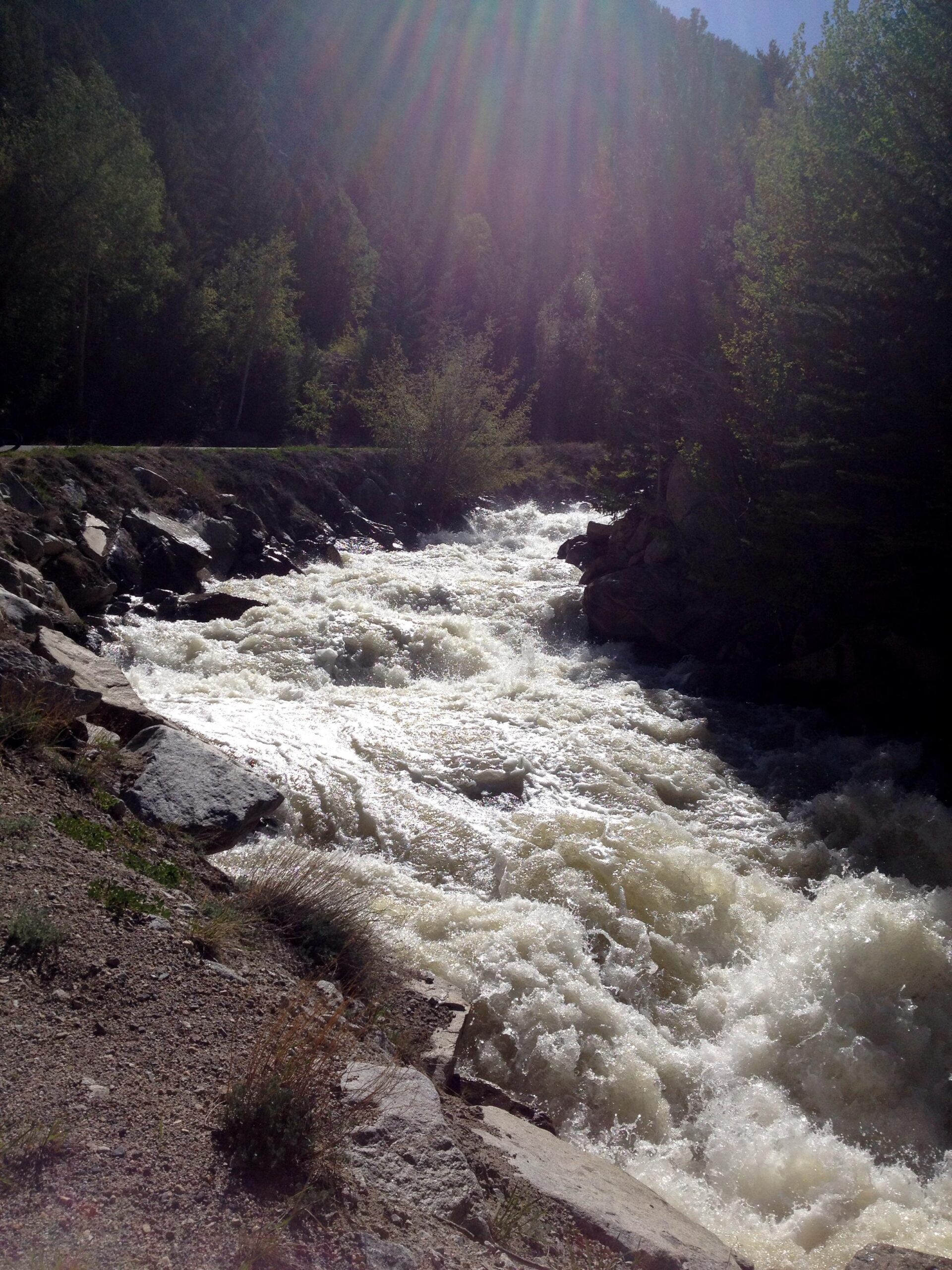 Rushing river water flows over rocky terrain, surrounded by lush greenery and trees under bright sunlight, creating a serene natural landscape. Narrow Gauge Trail mountain bike trail.