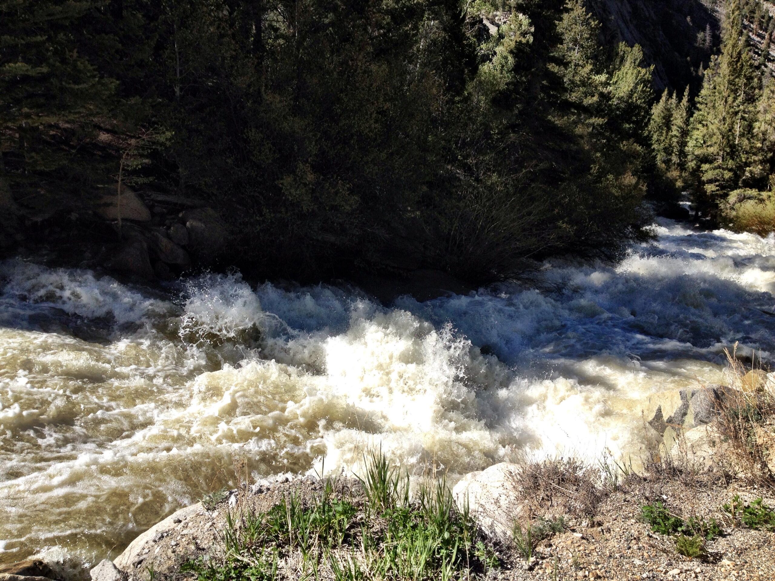 Raging river with frothy white water flowing rapidly between rocky banks and lush greenery under bright sunlight. Narrow Gauge Trail mountain bike trail.