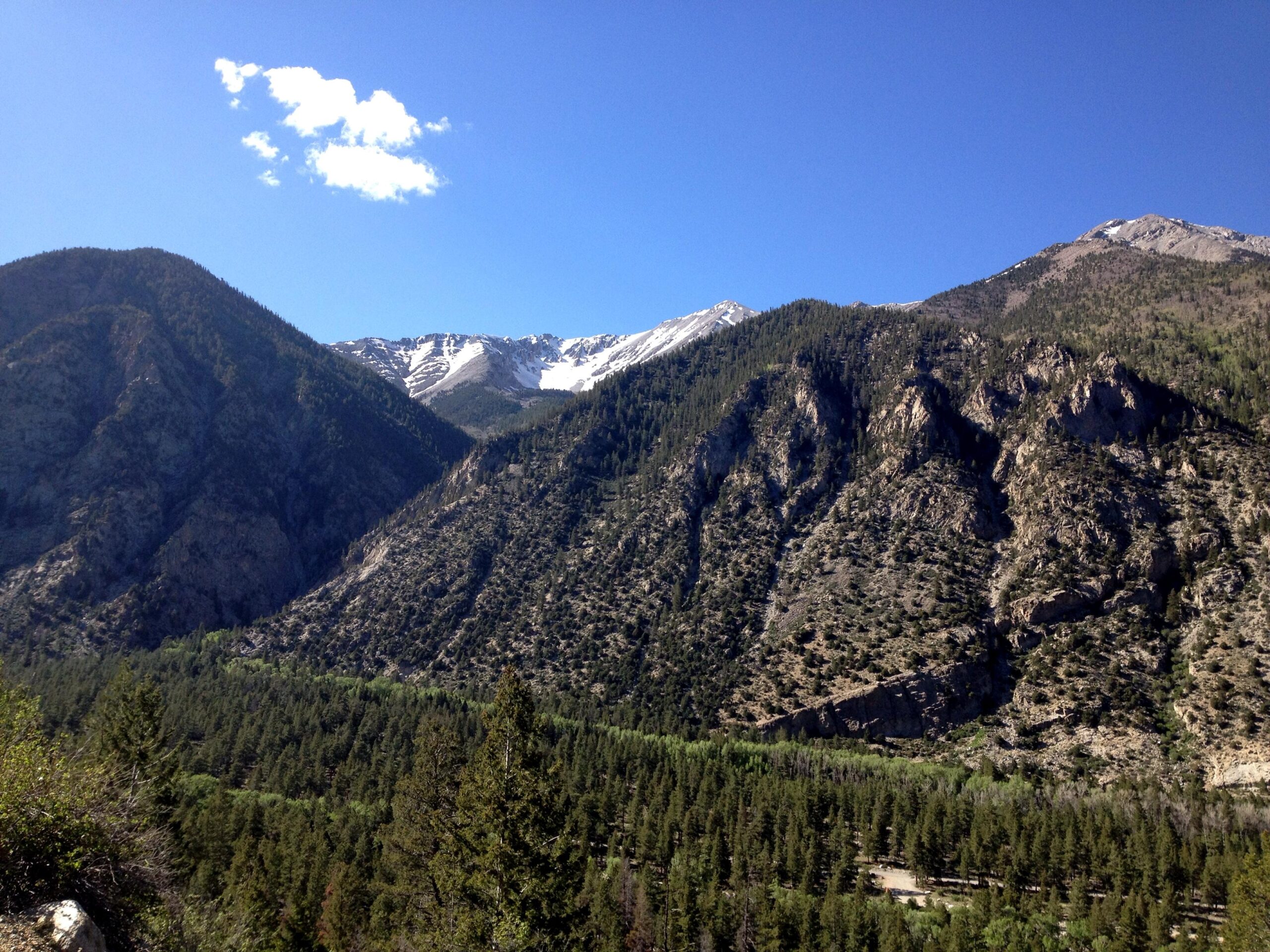 A scenic view of mountainous terrain with snow-capped peaks under a clear blue sky. Lush green forests cover the lower slopes, leading up to rocky ridges and higher elevations. A few fluffy clouds can be seen drifting above the mountains. Narrow Gauge Trail mountain bike trail.