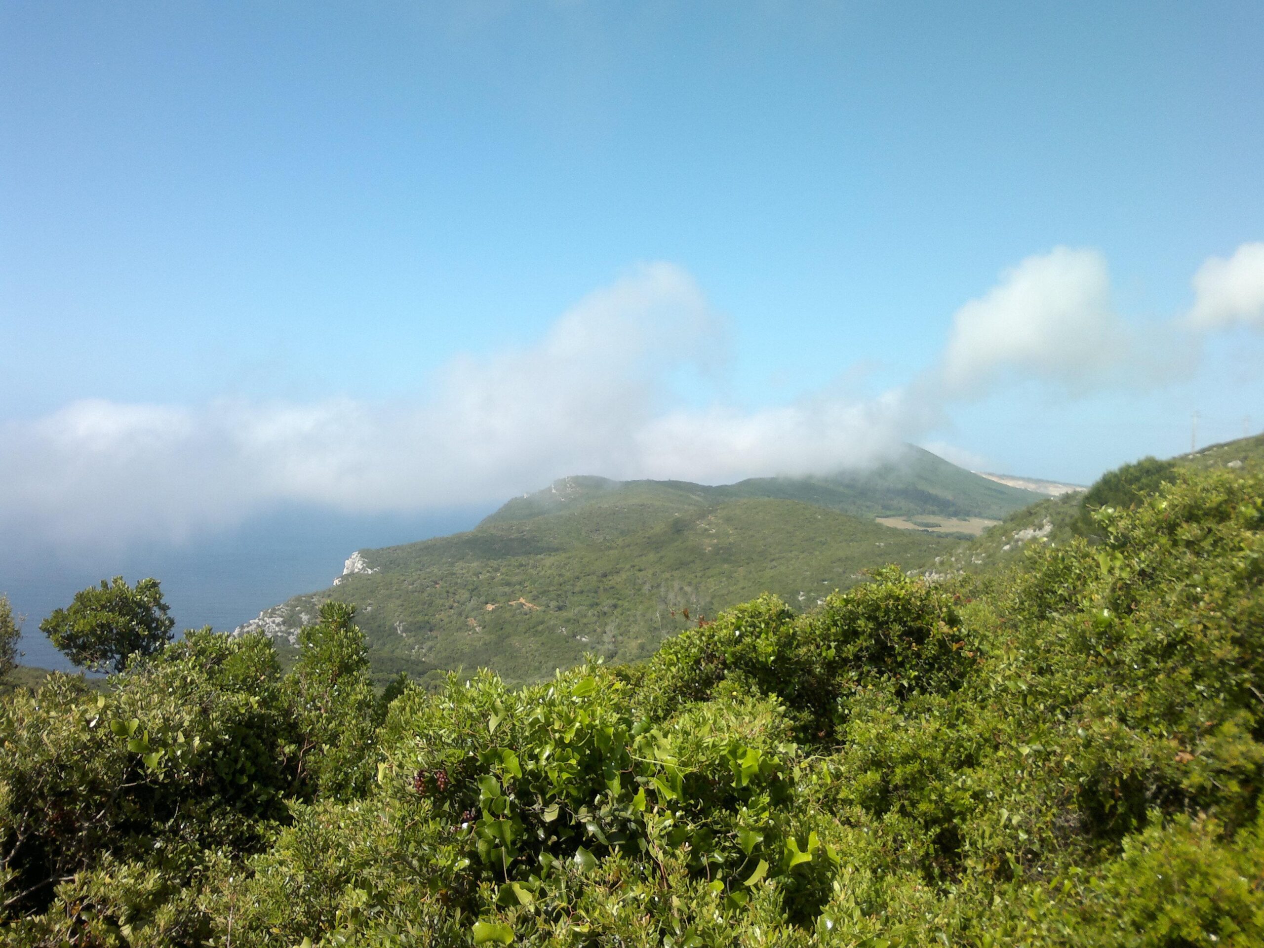A scenic view of a lush green landscape with rolling hills and a distant coastline under a bright blue sky, partially covered by soft white clouds. The foreground features dense vegetation, contributing to the natural beauty of the scene. Arrabida mountain bike trail.