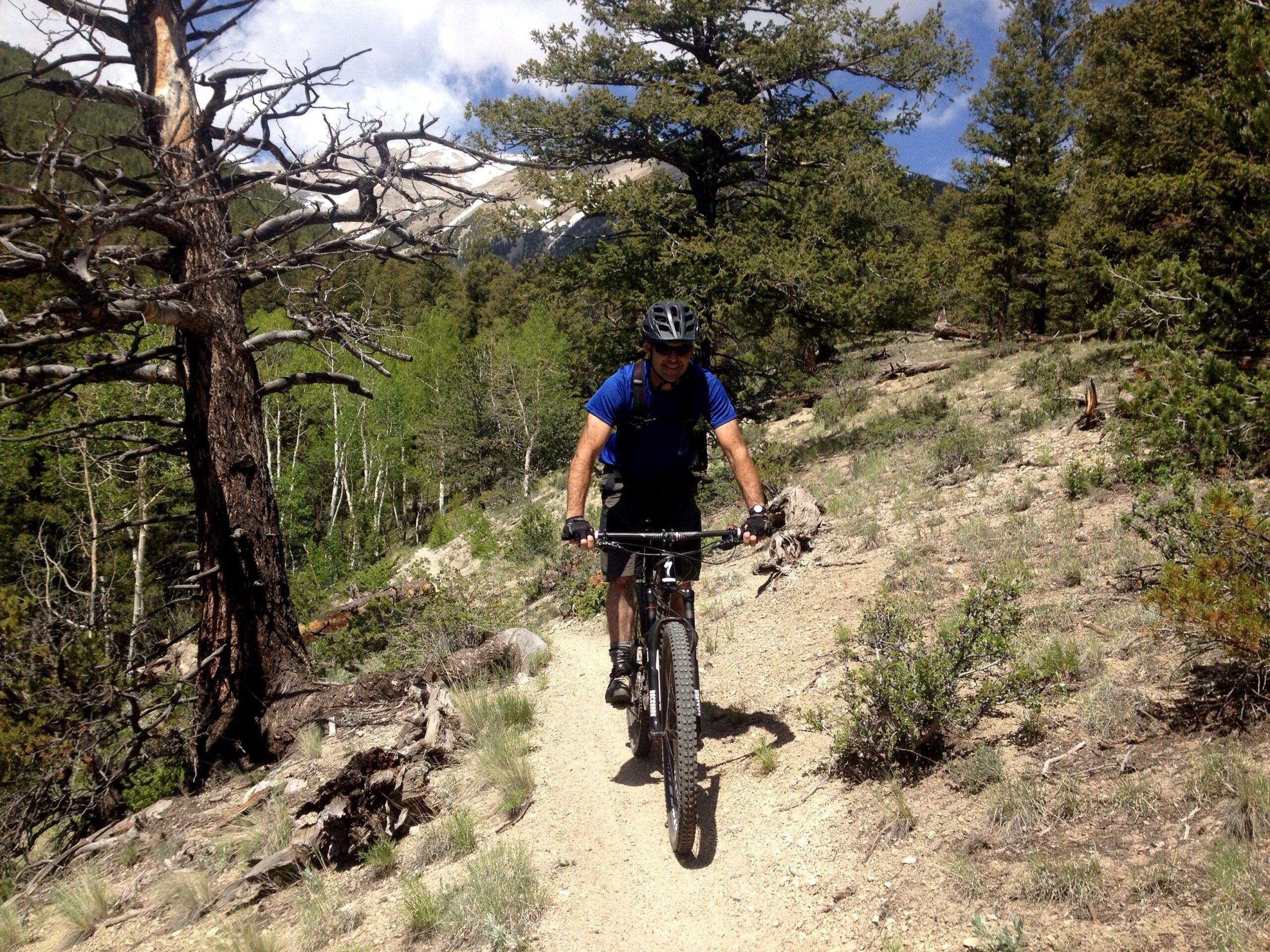 A mountain biker riding along a dirt trail surrounded by lush green trees and rocky terrain on a sunny day. The biker is wearing a helmet and a blue shirt, navigating the path with a focused expression. The background features a mix of pine trees and distant mountains. Colorado Trail: Mount Princeton to Avalanche Trailhead / Collegiate Peaks Wilderness mountain bike trail.