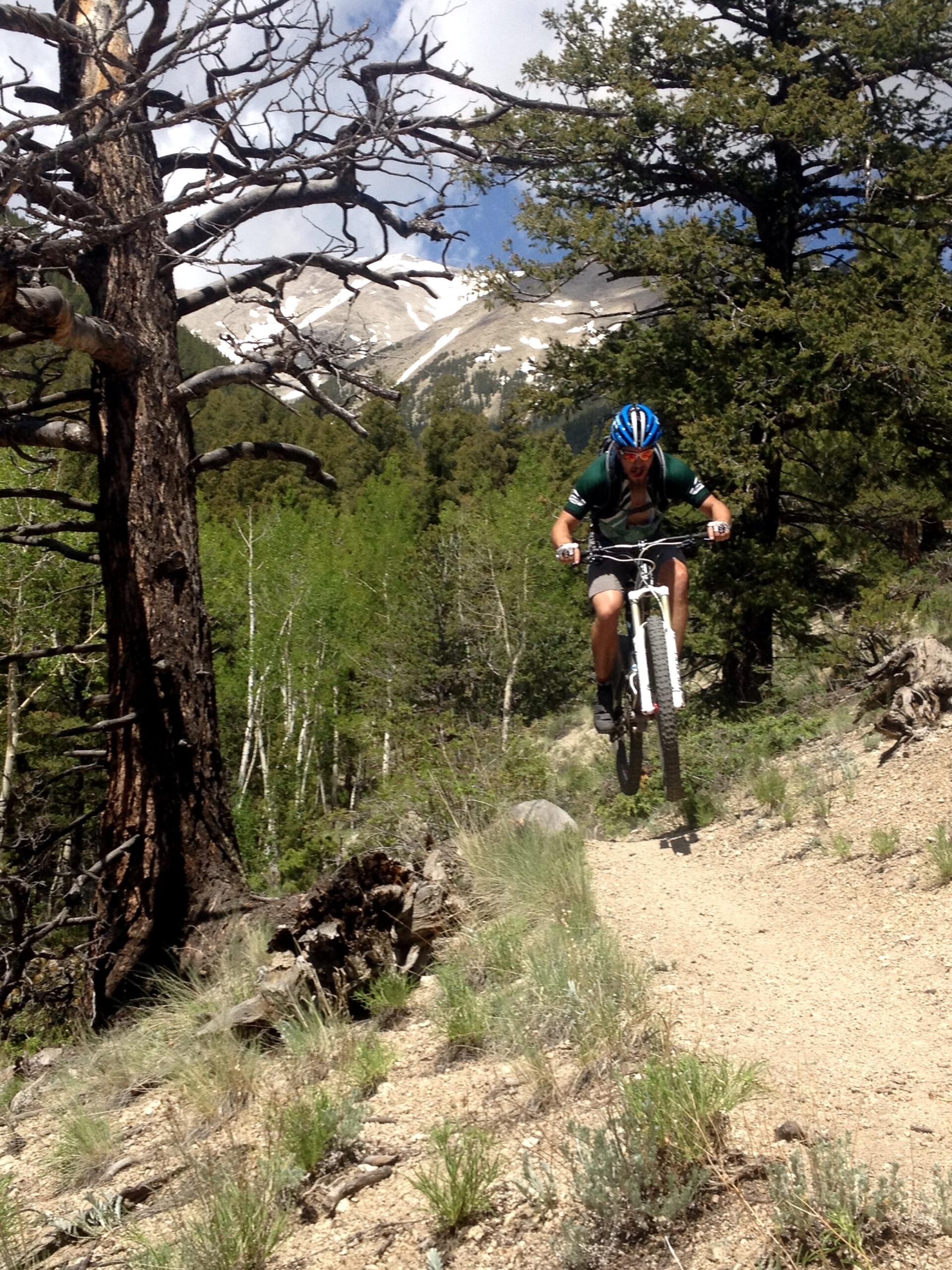 A person riding a mountain bike on a dirt trail surrounded by trees and mountains. The biker is seen in mid-air, showcasing an active jumping maneuver. The backdrop features a mix of green foliage and rocky terrain under a partly cloudy sky. Colorado Trail: Mount Princeton to Avalanche Trailhead / Collegiate Peaks Wilderness mountain bike trail.