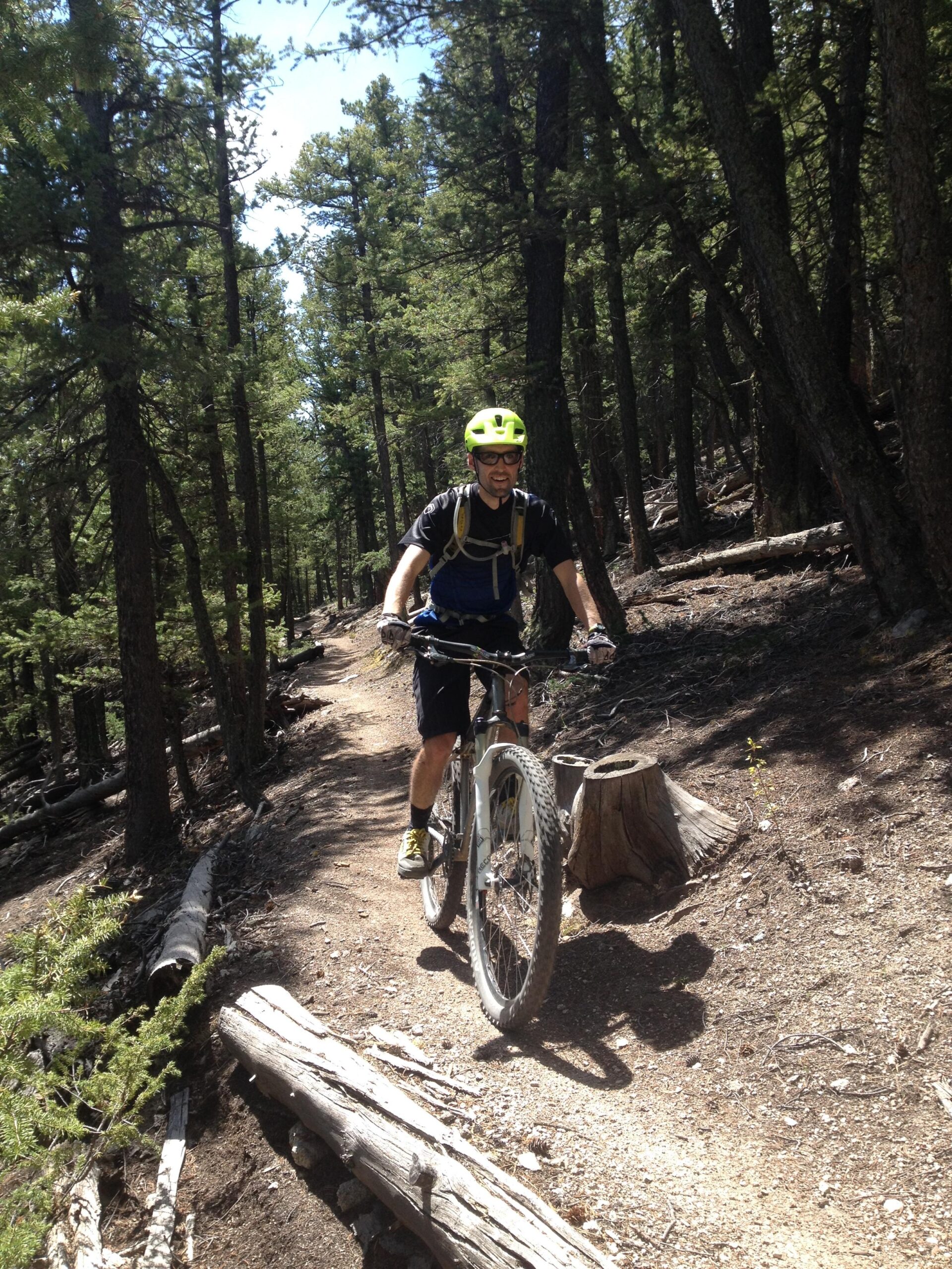 A mountain biker navigating a dirt trail through a forest, wearing a yellow helmet and sunglasses, with tall pine trees surrounding the path. Logs and a tree stump are visible along the trail, indicating a natural terrain. Colorado Trail: Mount Princeton to Avalanche Trailhead / Collegiate Peaks Wilderness mountain bike trail.
