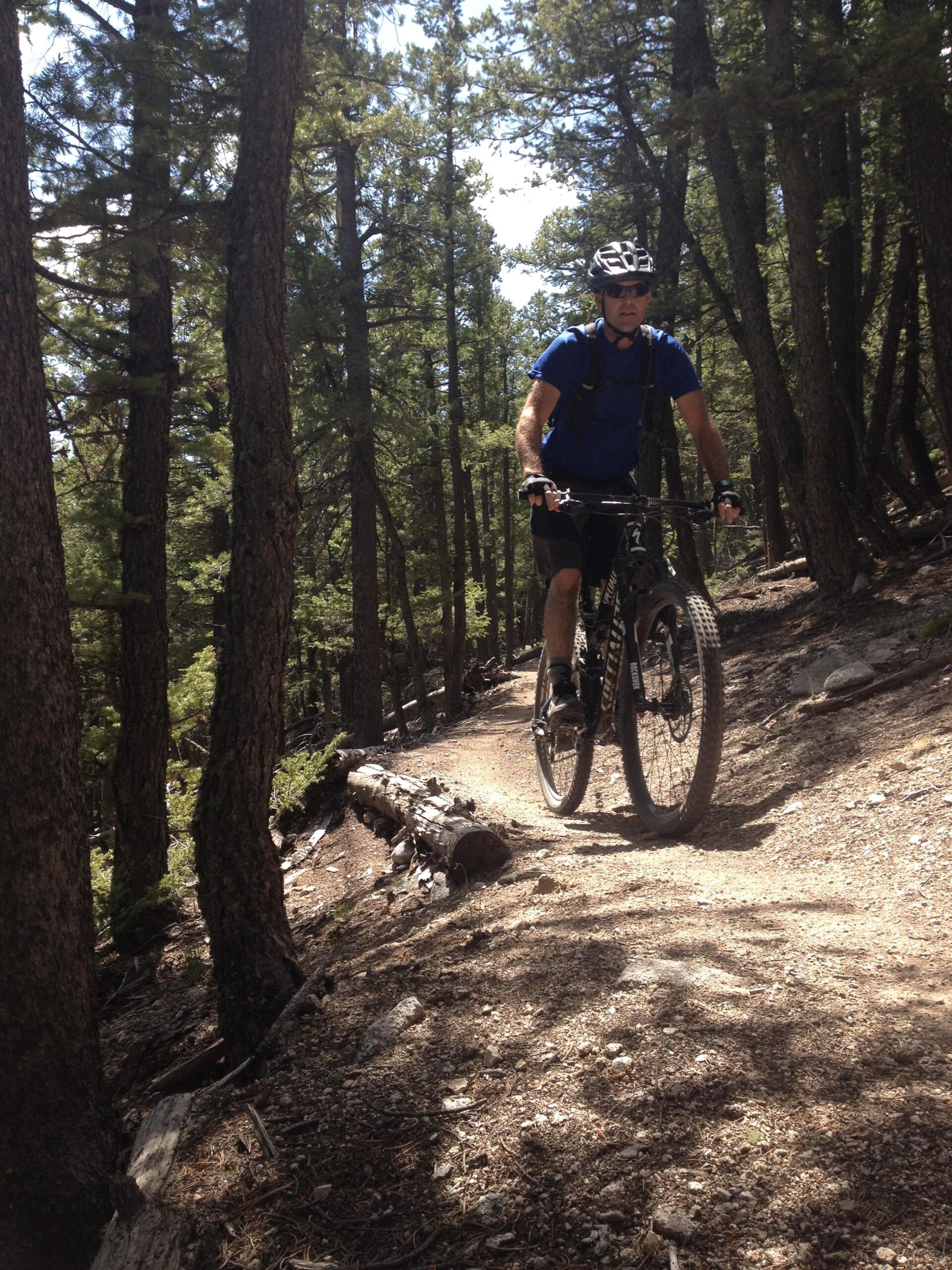 A cyclist wearing a blue shirt and helmet rides a mountain bike along a dirt trail surrounded by tall trees in a forest. The sunlight filters through the leaves, casting dappled shadows on the ground. A fallen log lies next to the path, while rocky terrain is visible in some areas. Colorado Trail: Mount Princeton to Avalanche Trailhead / Collegiate Peaks Wilderness mountain bike trail.