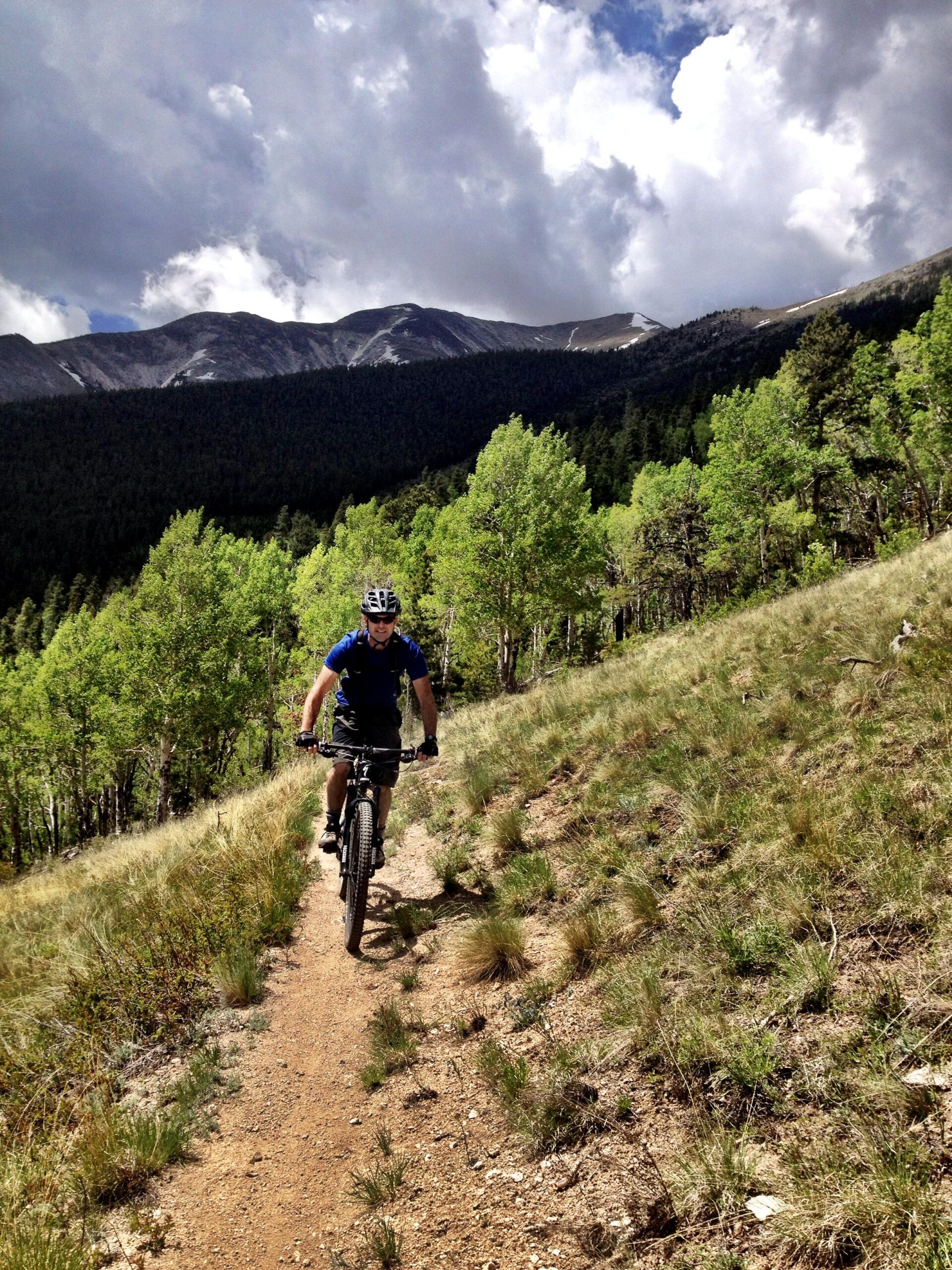A person in a blue shirt and helmet rides a mountain bike along a dirt trail surrounded by greenery and trees, with a backdrop of mountains and cloudy skies. Colorado Trail: Mount Princeton to Avalanche Trailhead / Collegiate Peaks Wilderness mountain bike trail.