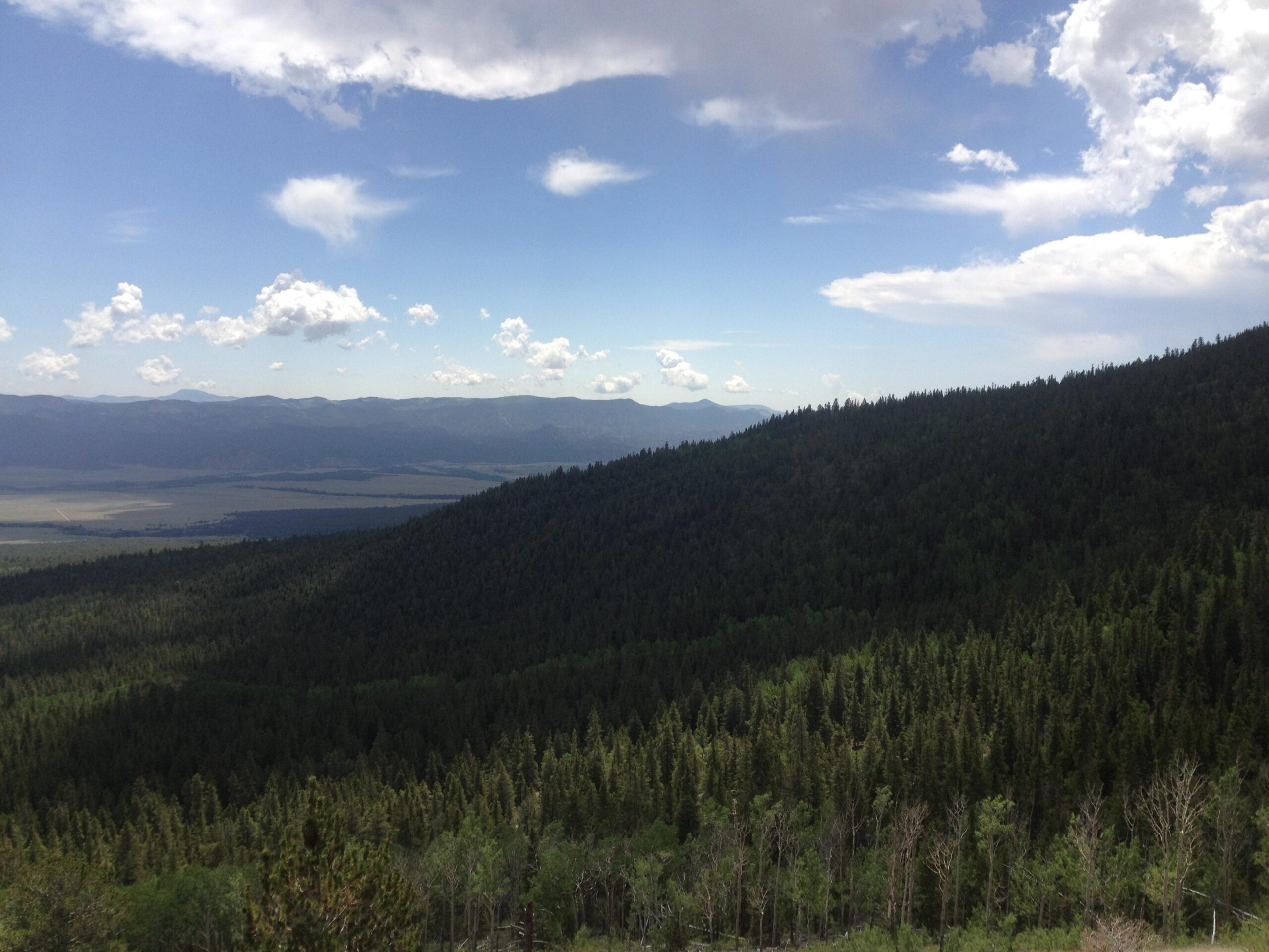 A panoramic view of a lush green forested hillside under a blue sky with scattered clouds, set against a backdrop of distant mountains and a valley below. Colorado Trail: Mount Princeton to Avalanche Trailhead / Collegiate Peaks Wilderness mountain bike trail.