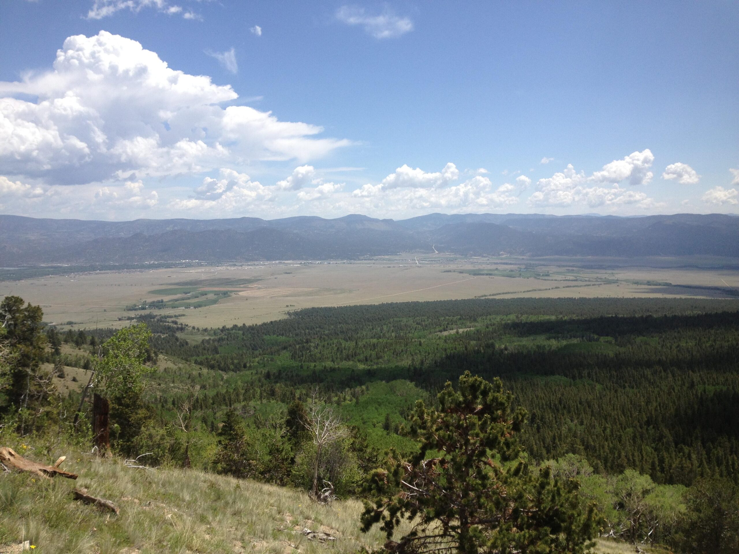 A scenic view of a valley surrounded by mountains, with lush green forests and open fields under a partly cloudy sky. The landscape is expansive, showcasing a mix of trees and grassy areas leading toward the distant mountains. Colorado Trail: Mount Princeton to Avalanche Trailhead / Collegiate Peaks Wilderness mountain bike trail.