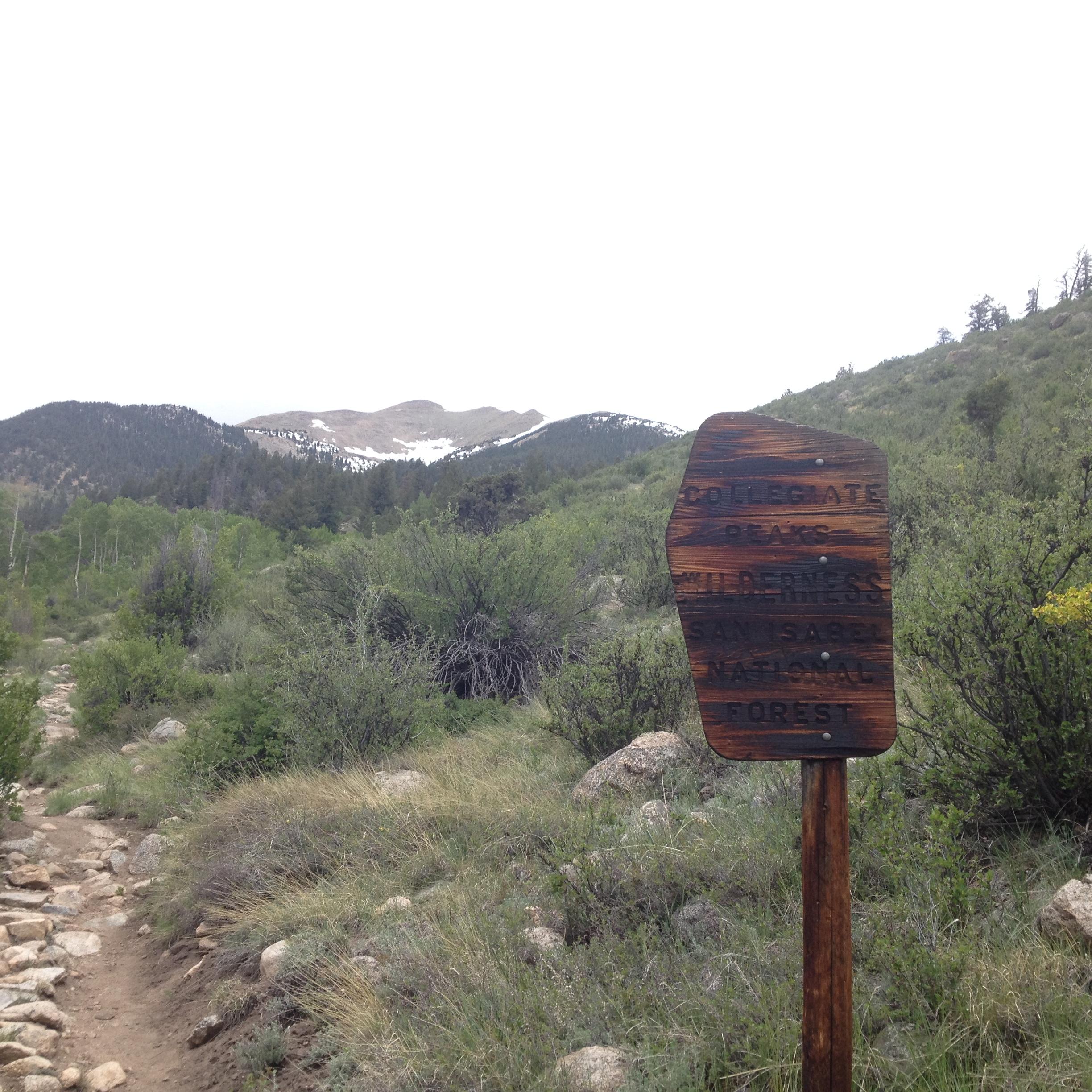A wooden sign marking the entrance to Collegiate Peaks Wilderness in the San Isabel National Forest, surrounded by greenery and rocky terrain, with snow-capped mountains in the background under a cloudy sky. Colorado Trail: Mount Princeton to Avalanche Trailhead / Collegiate Peaks Wilderness mountain bike trail.