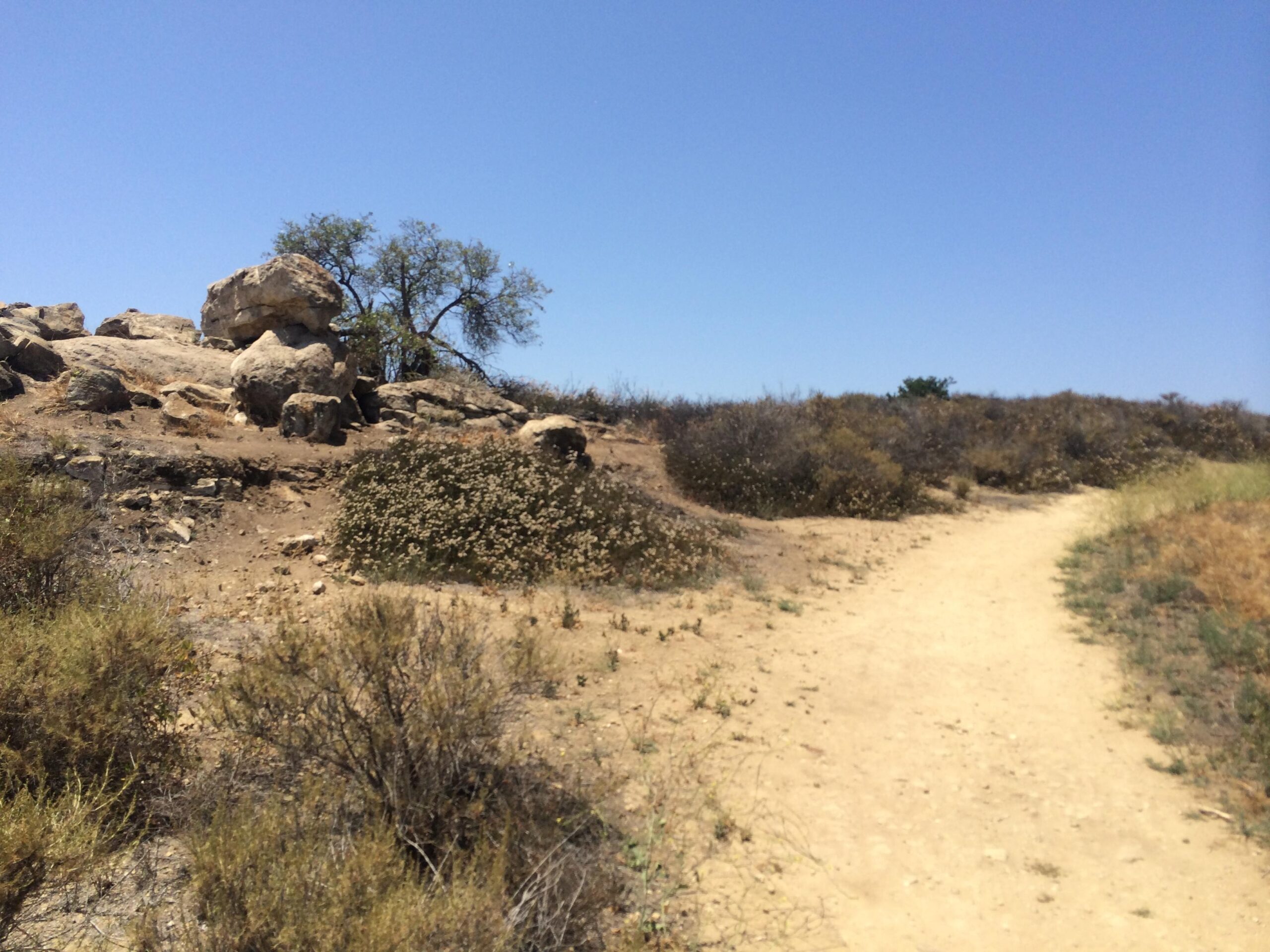 A dirt path winding through a dry, rocky landscape with sparse vegetation. In the background, large stones and a single tree can be seen under a clear blue sky. Quail Trail mountain bike trail.