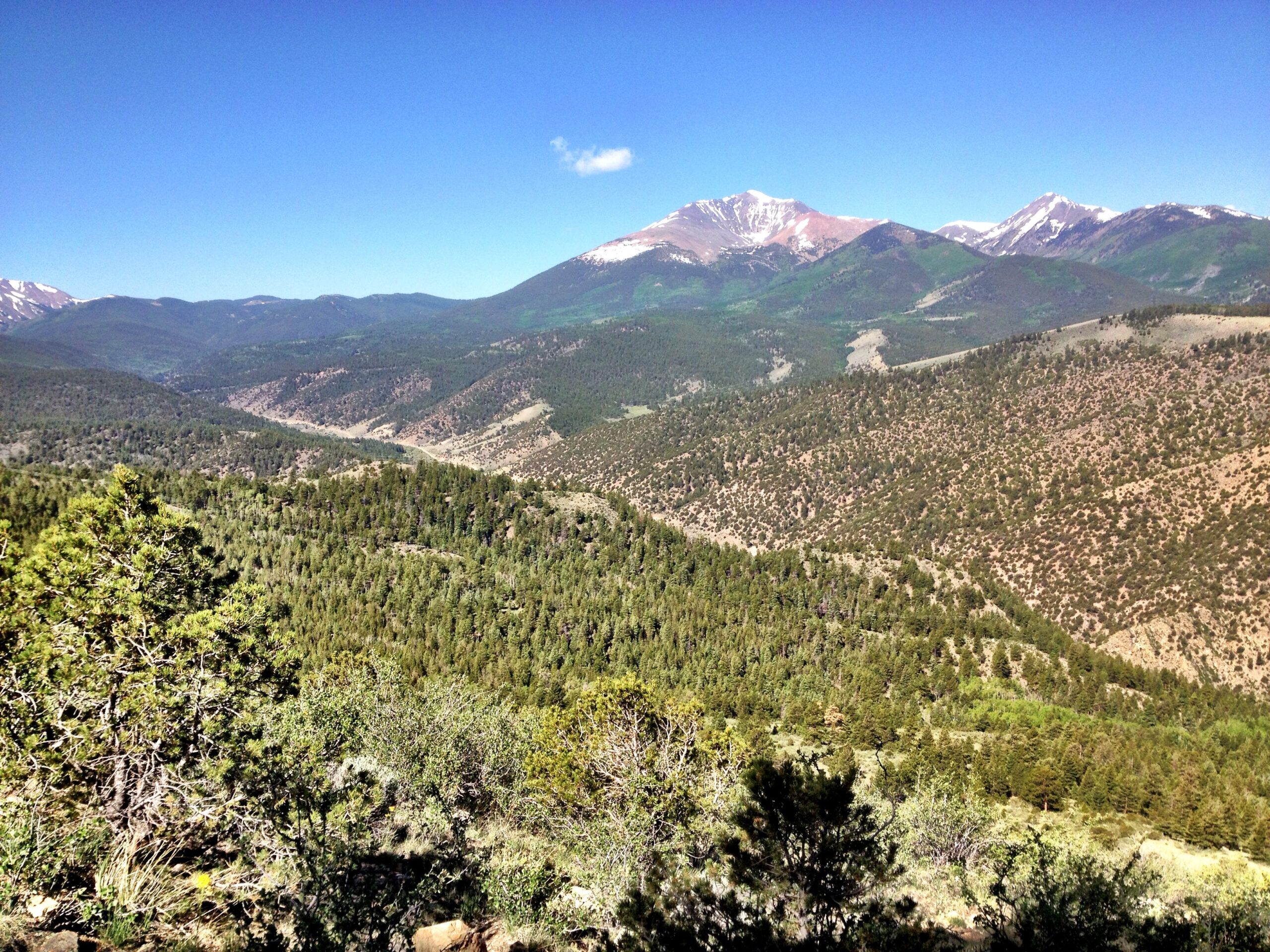 A panoramic view of a mountainous landscape featuring lush green forests, rolling hills, and snow-capped peaks under a clear blue sky. The foreground includes varied vegetation, with trees and shrubs, while the background showcases the rugged mountains and valleys. Rainbow Trail: Hwy 285 to Methodist Mountain Thd mountain bike trail.