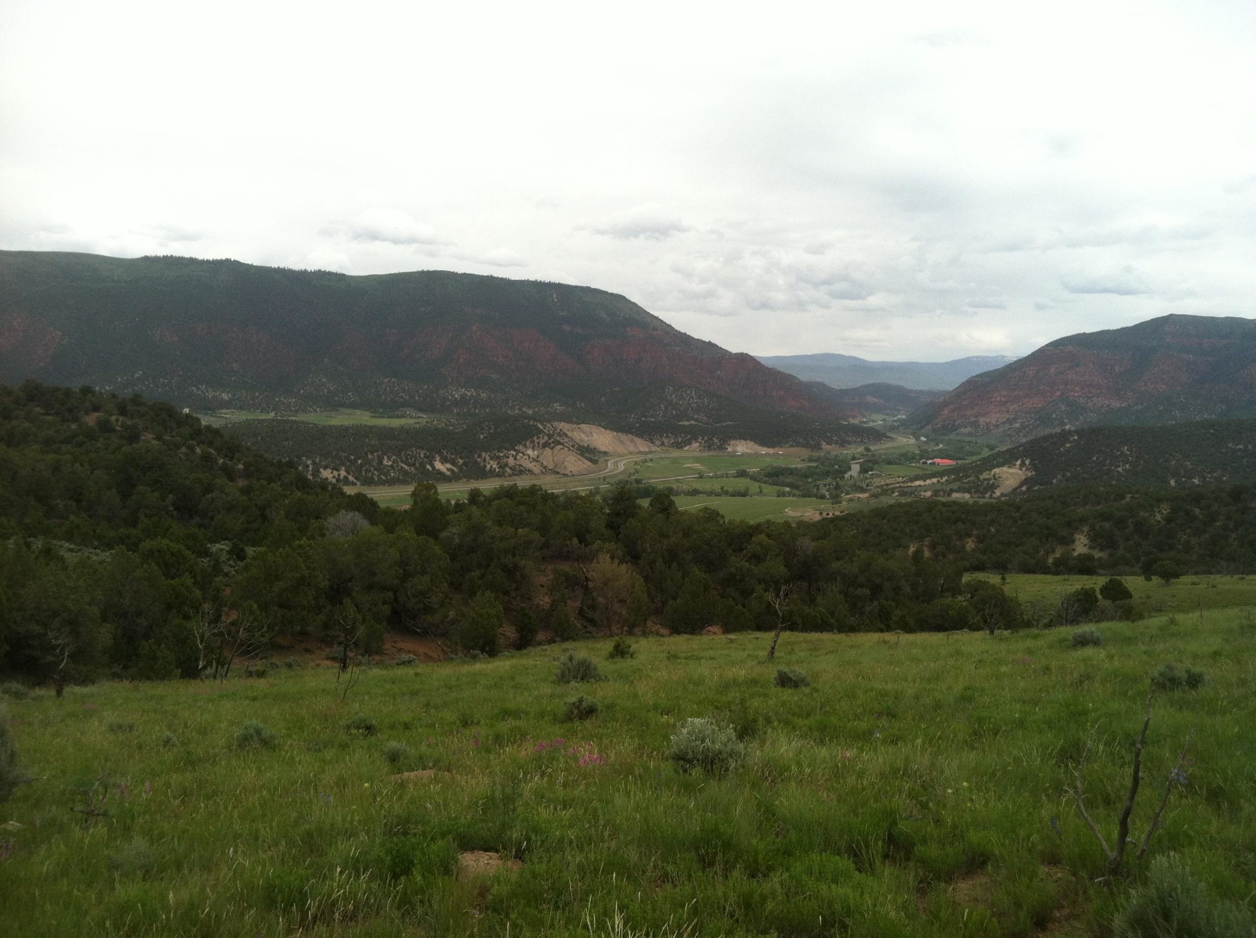 A scenic view of a valley surrounded by mountains, featuring green fields and patches of trees under a cloudy sky. The landscape includes a winding road and hints of red rock formations in the distance. Wildflowers can be seen in the foreground, adding color to the lush grass. The Boneyard mountain bike trail.