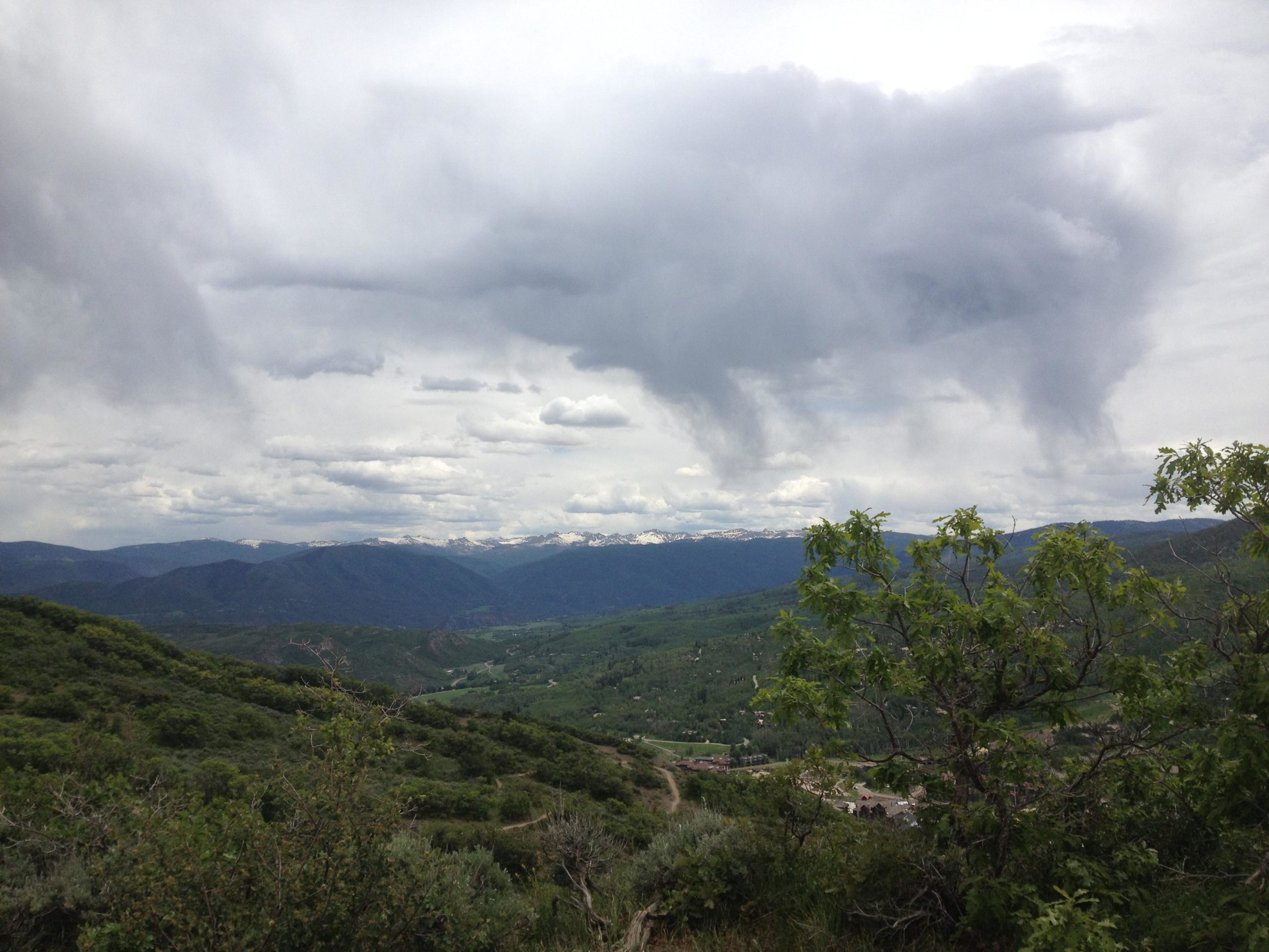 A panoramic view of a mountainous landscape under a cloudy sky, featuring rolling green hills and a distant snow-capped mountain range. The scene includes patches of greenery in the foreground, suggesting a natural setting. Rim Trail mountain bike trail.