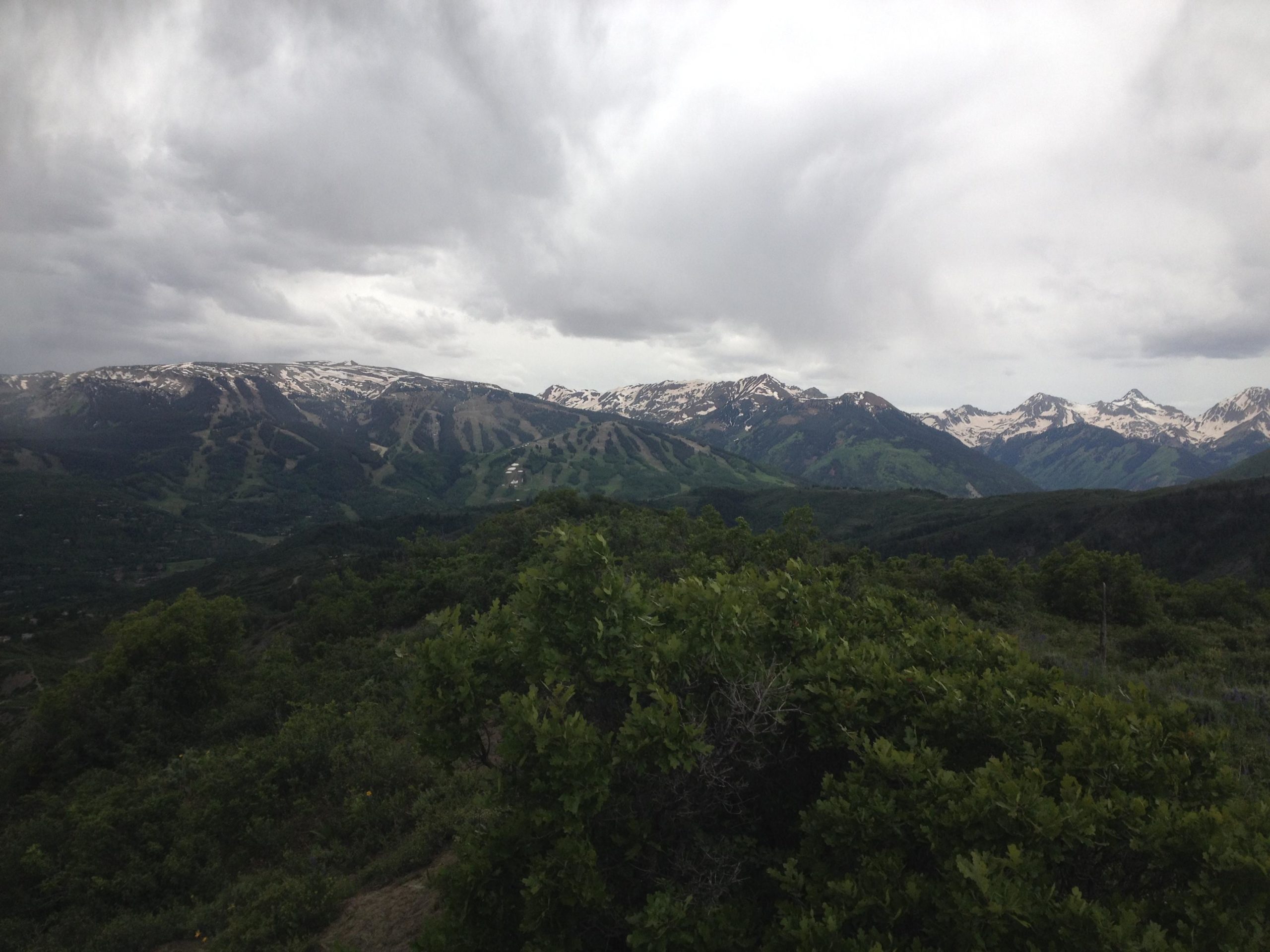 A panoramic view of lush green mountains under a cloudy sky, showcasing snow-capped peaks in the distance. The foreground features dense foliage, adding to the natural landscape. Rim Trail mountain bike trail.