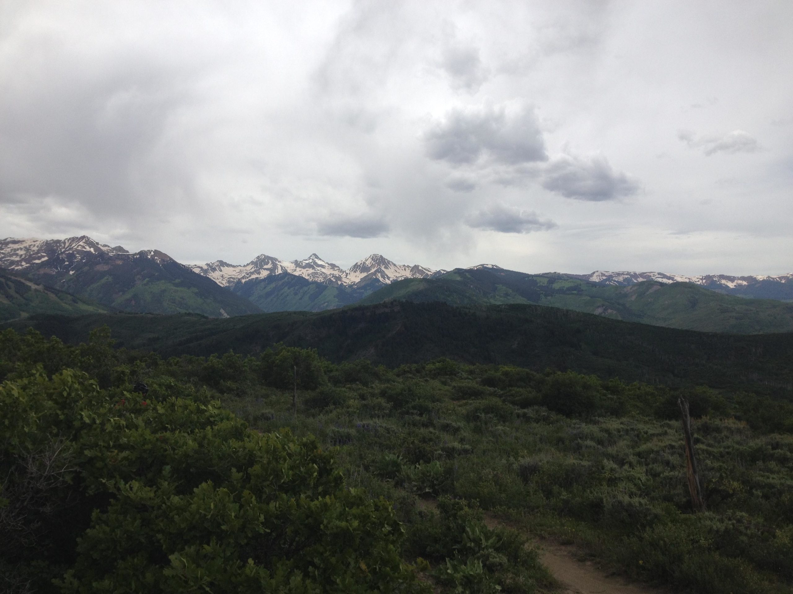 A panoramic view of a mountainous landscape featuring snow-capped peaks in the distance, surrounded by lush green valleys under a cloudy sky. The foreground includes patches of shrubbery and a winding dirt path leading into the scene. Rim Trail mountain bike trail.