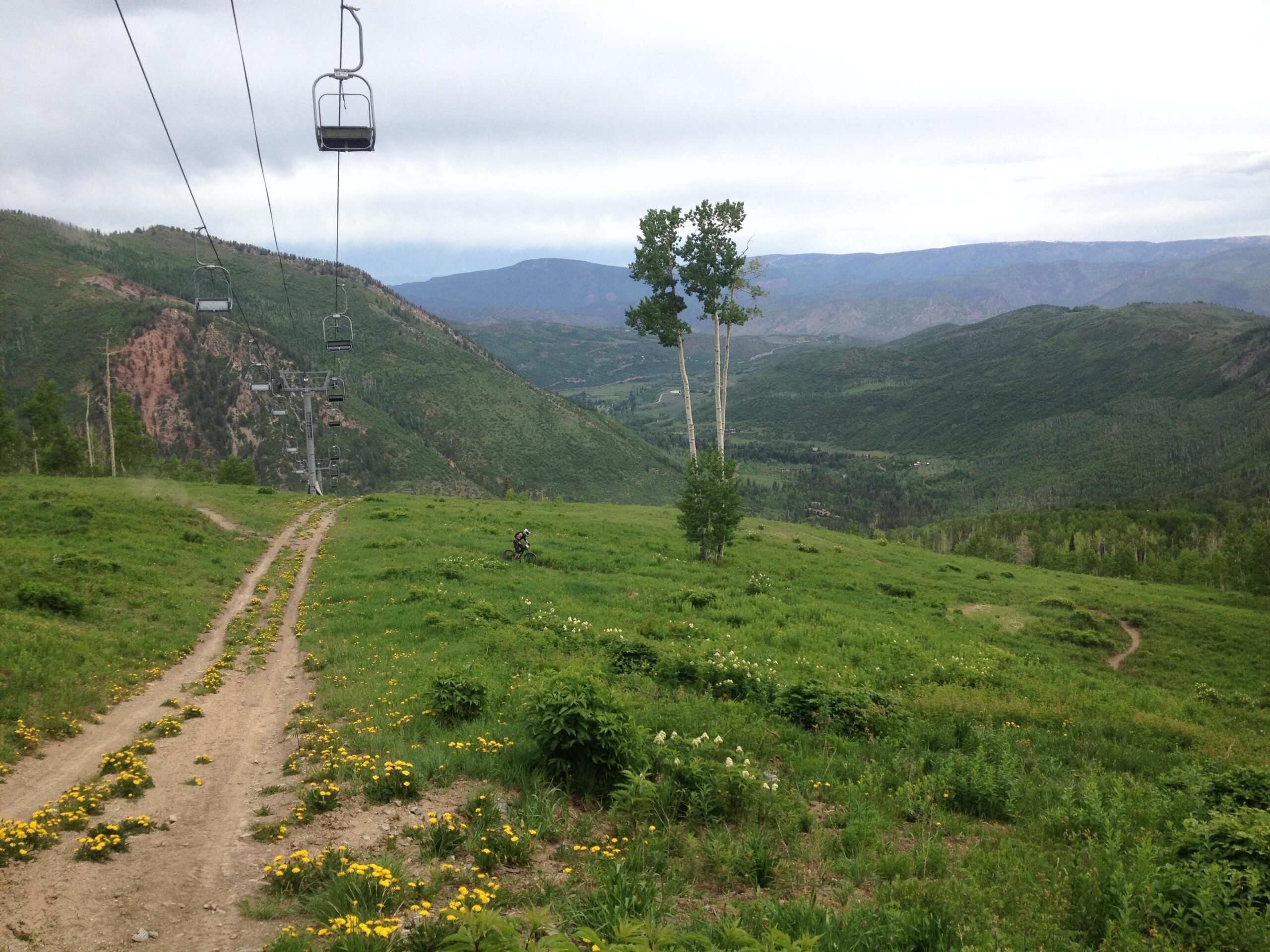 A scenic view of a mountainous landscape with a ski lift in the background. The foreground features a dirt path lined with wildflowers, leading down a grassy hillside. In the distance, rolling hills and trees extend toward a cloudy sky. A cyclist can be seen riding along the path. Village Bound mountain bike trail.