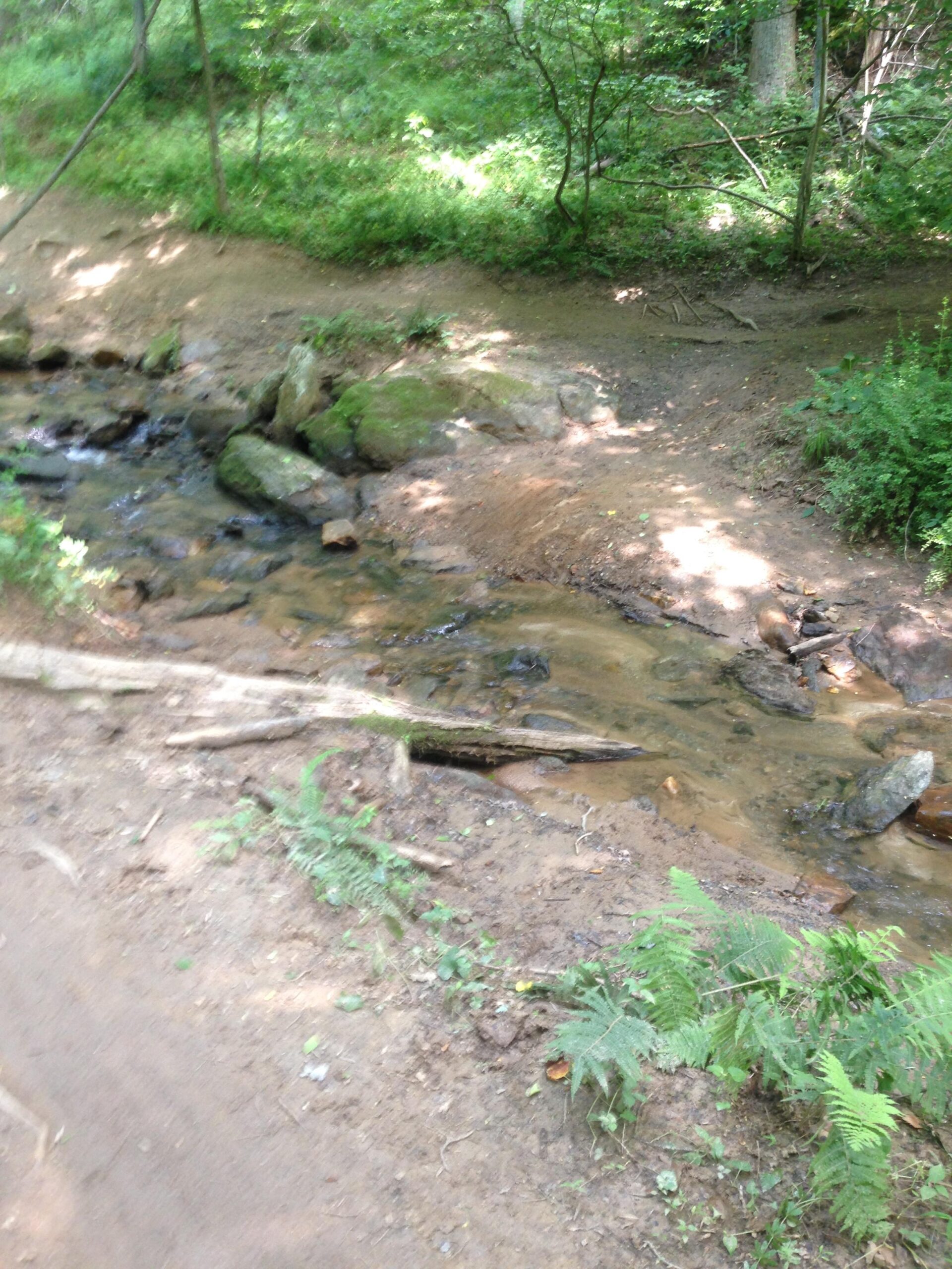 A small, meandering creek flows through a wooded area, with rocks and pebbles visible beneath the clear water. The surrounding landscape features lush green foliage and ferns, with sunlight filtering through the trees, creating a peaceful, natural setting. Gunpowder Falls State Park mountain bike trail.