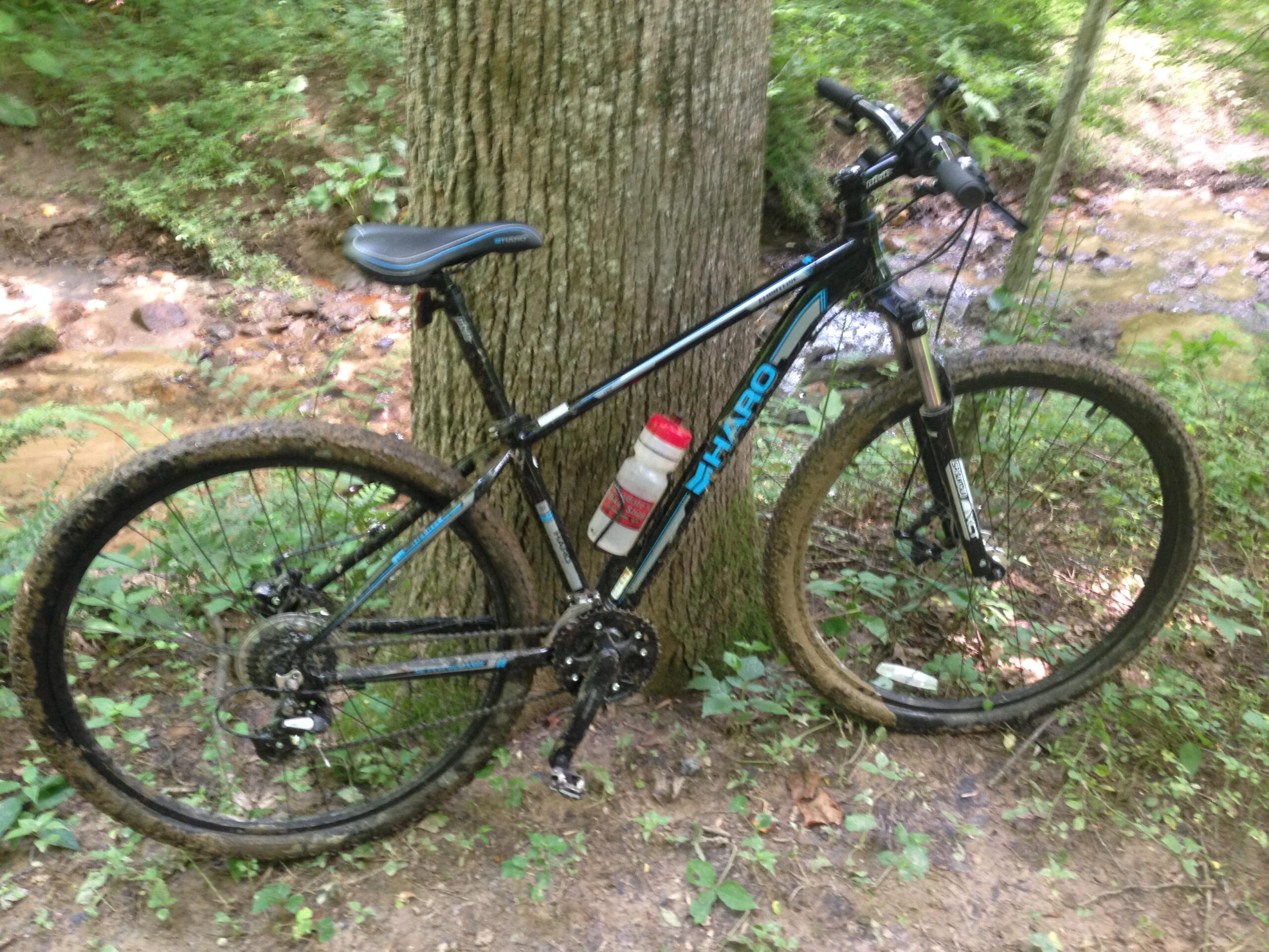 Haro Flightline Two: A black mountain bike resting against a tree in a lush green forest. The bike has muddy tires, indicating recent use on a trail, and features a water bottle mounted on the frame. In the background, a small stream is visible among the greenery.